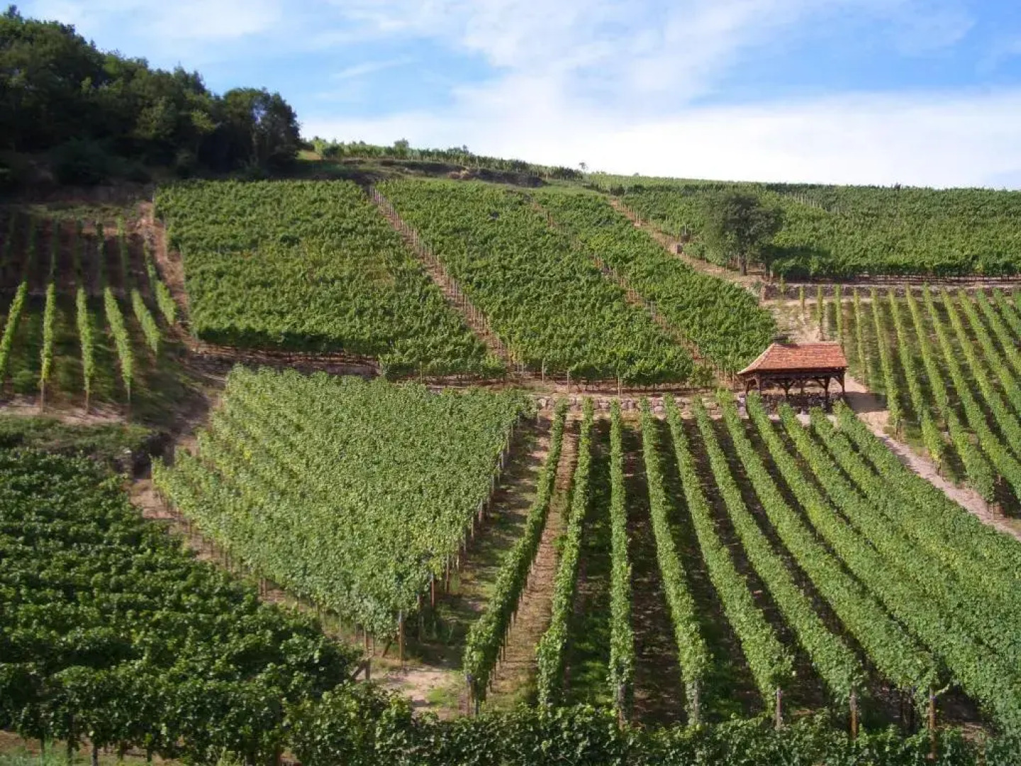 Chambres D'hotes Ruhlmann