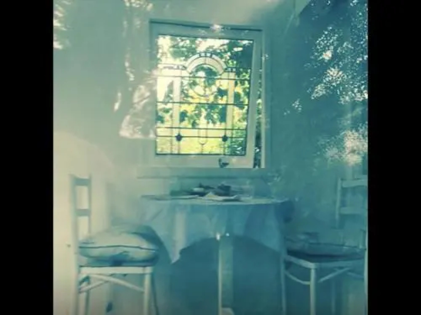 Follow The White Wabbit