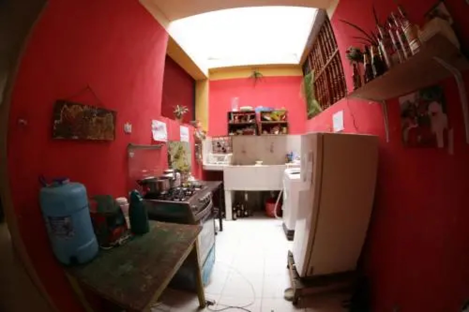 Sachahuasca Backpacker