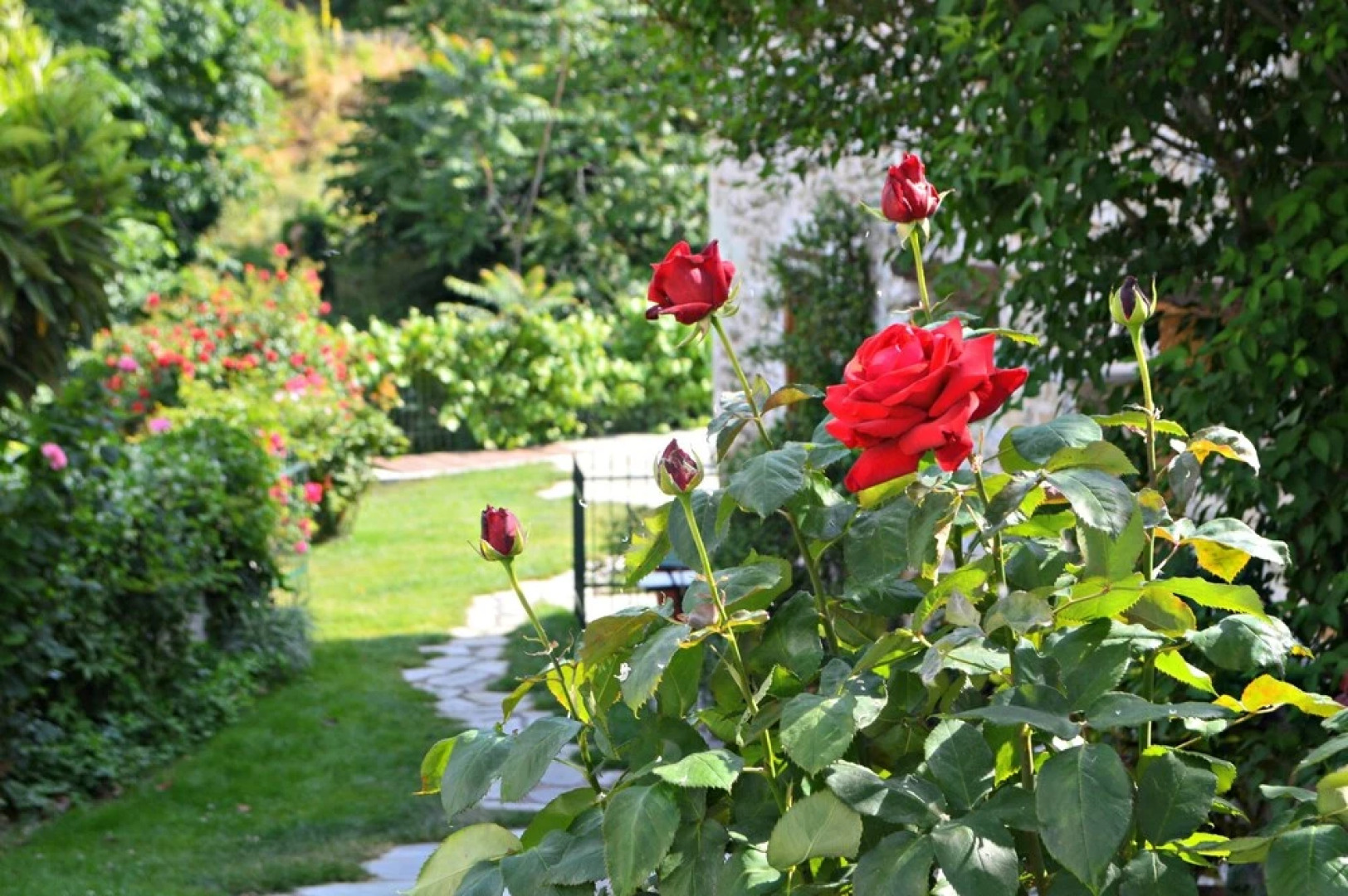 Country Hotel Triantafillies