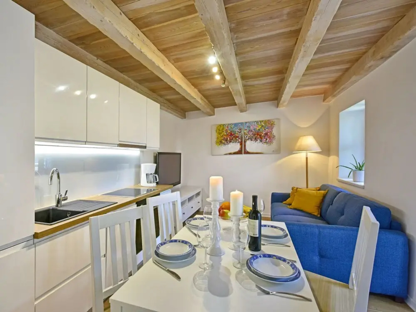 Hibiskus Tadini in Tadini