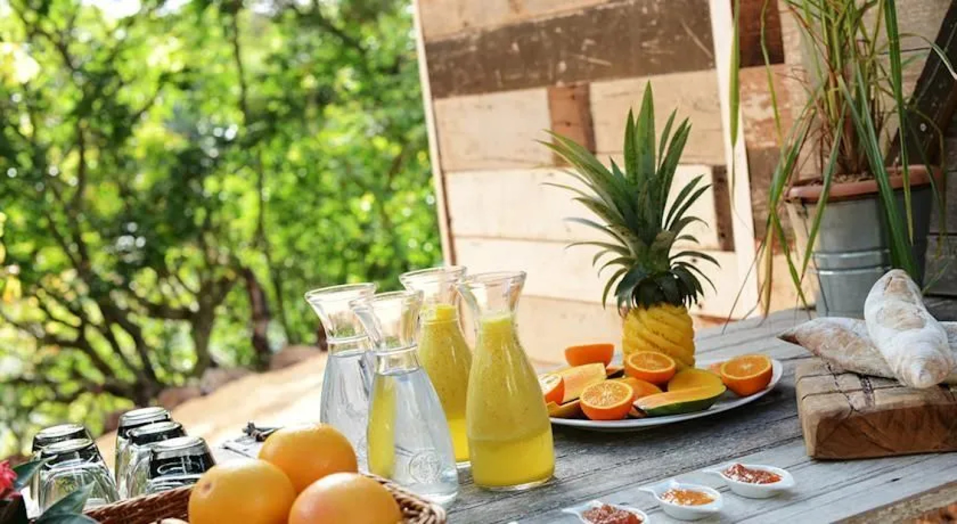 Otentic, Eco Tent Experience