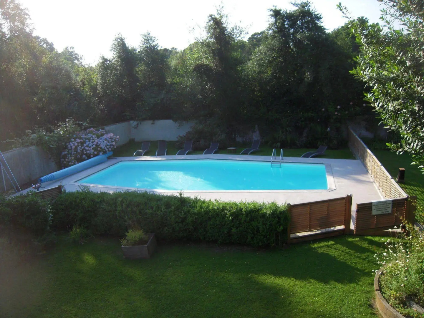 Le Petit Coq Aux Champs