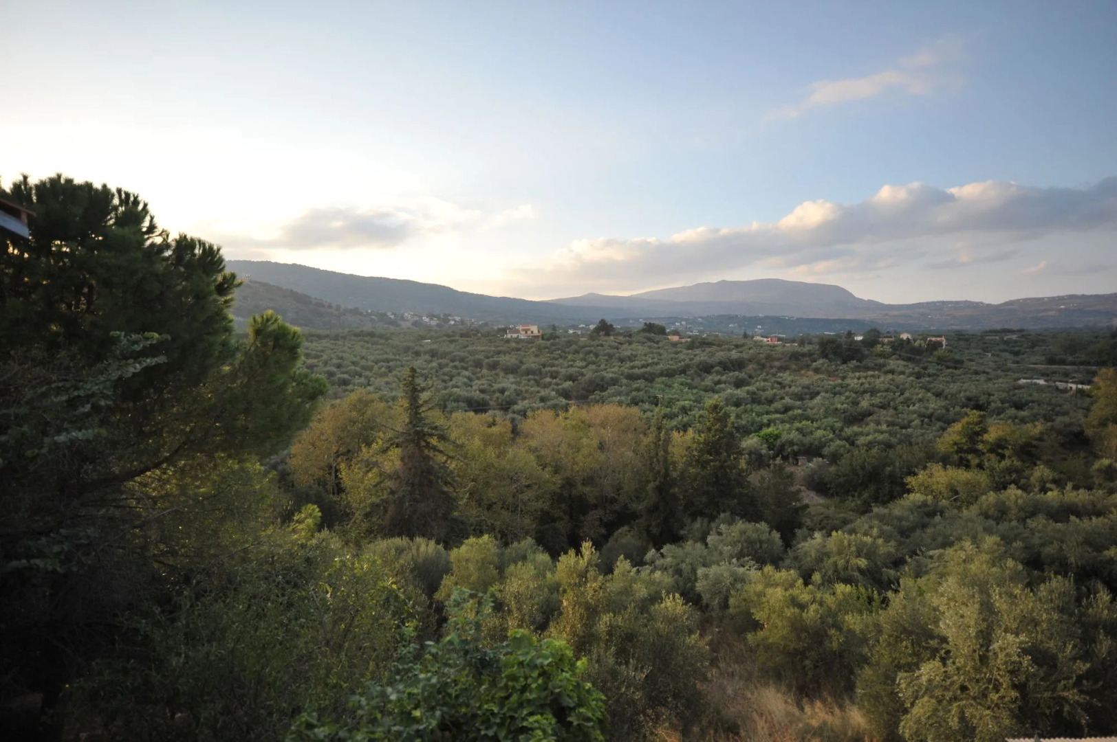 The architect's house