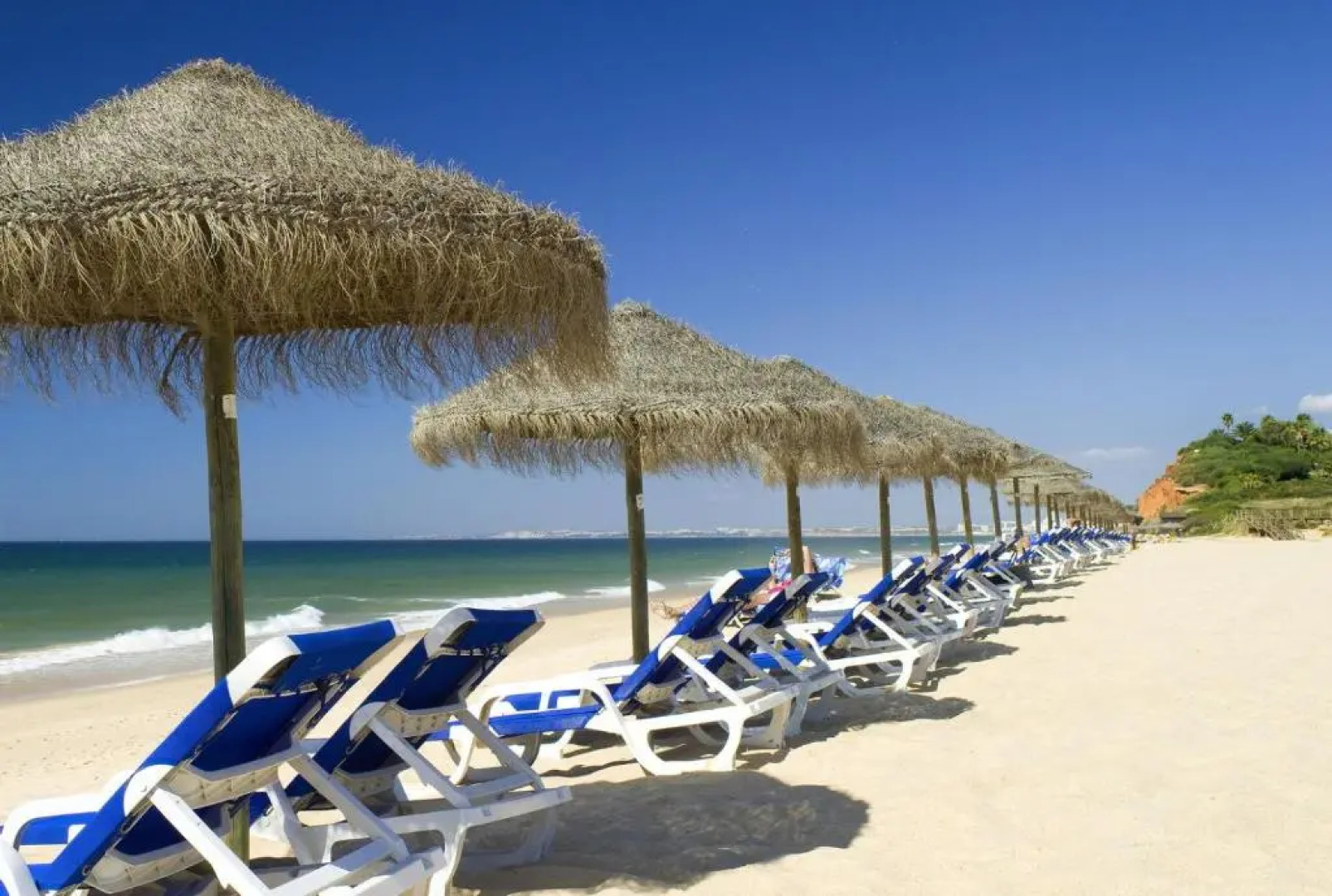 Sunny Lounge Apartment