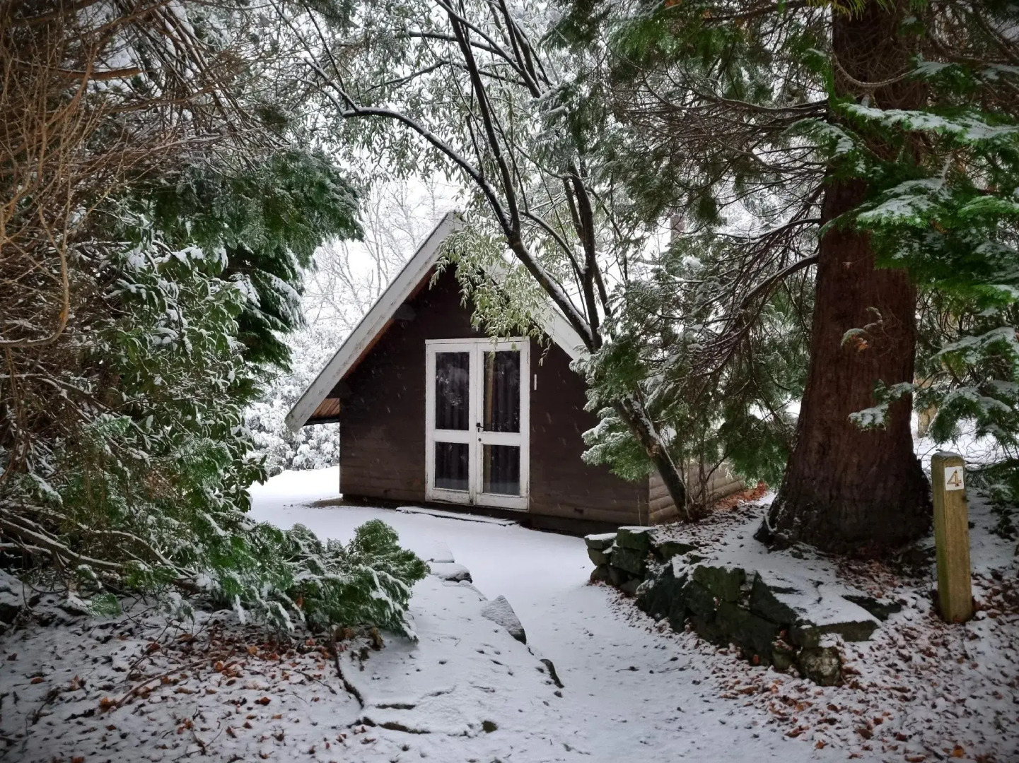 The Four Seasons Hotel