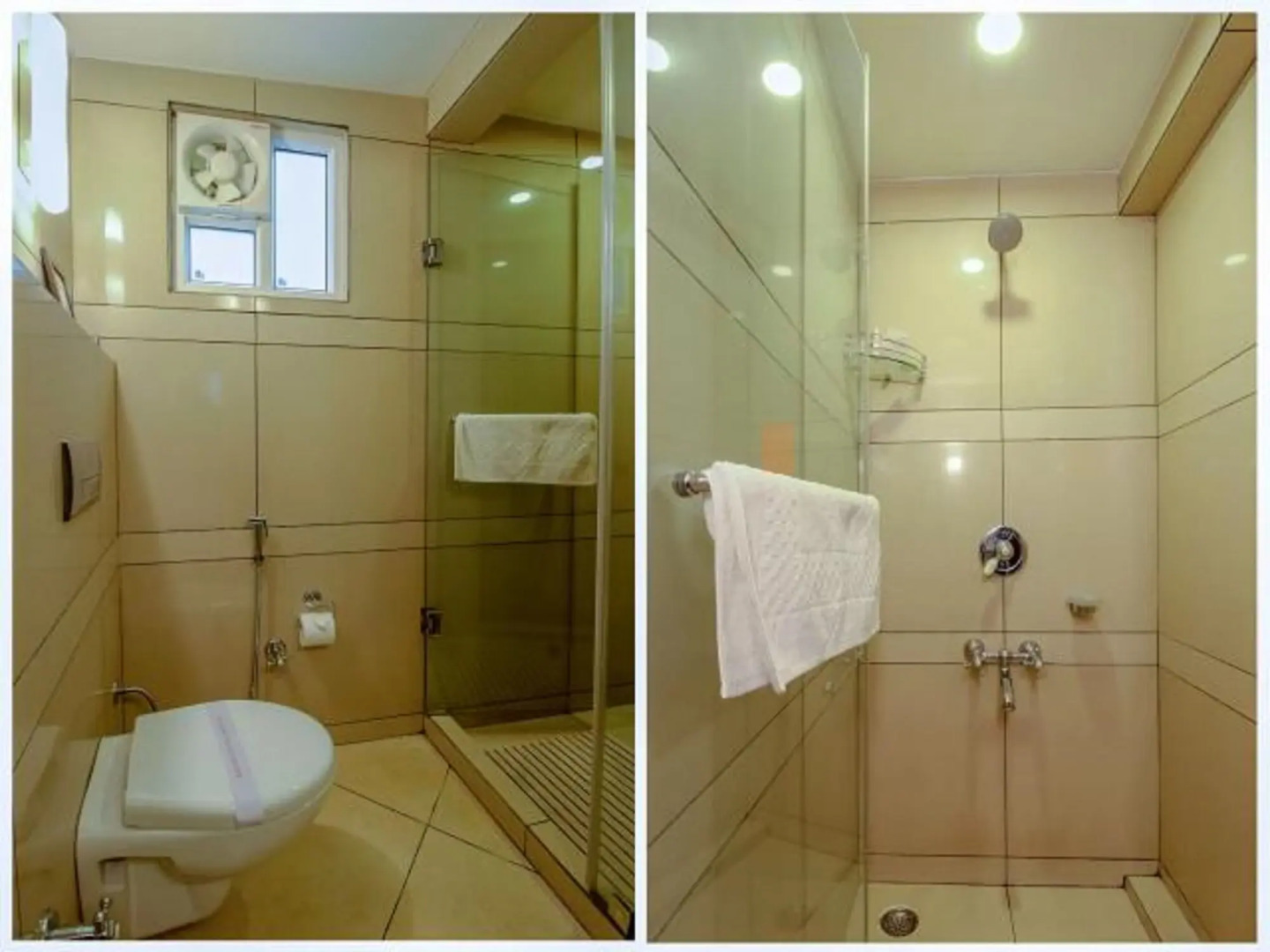 Lamrin Norwood Green Palampur