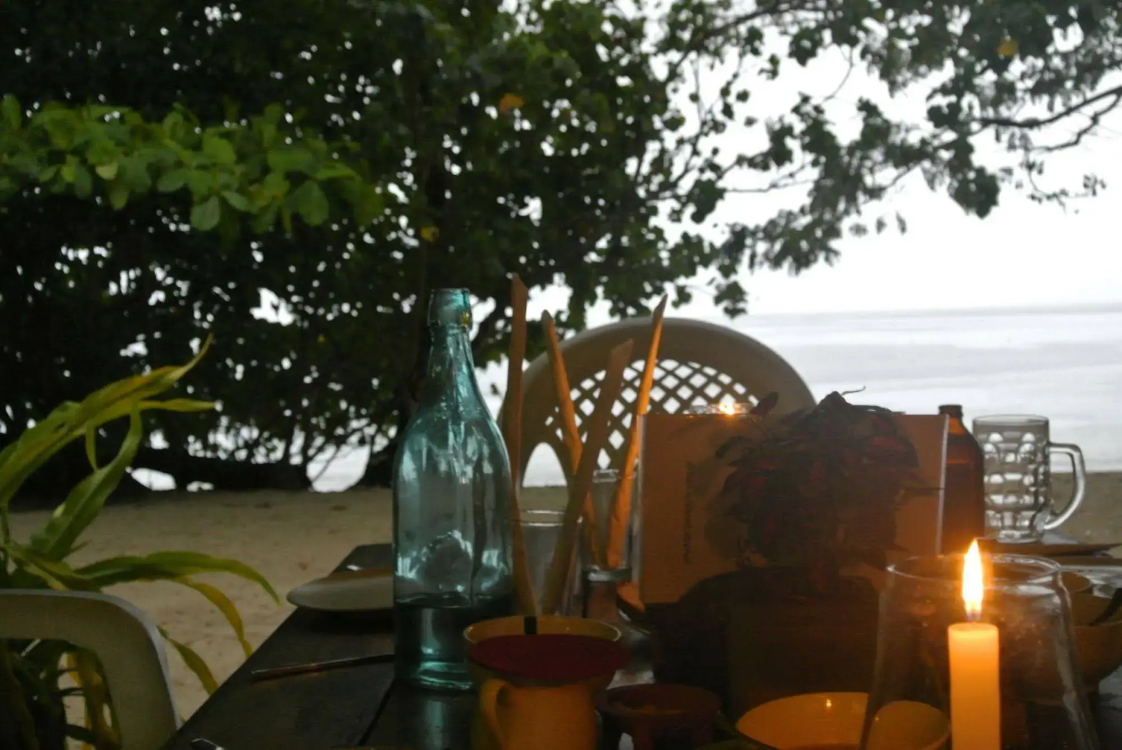 Dolphin Bay Divers Retreat