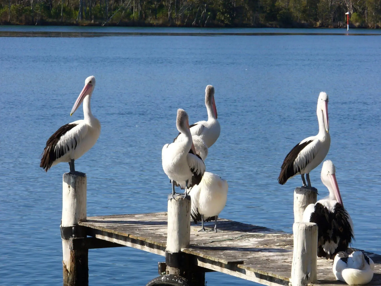 Huskisson Beach Motel