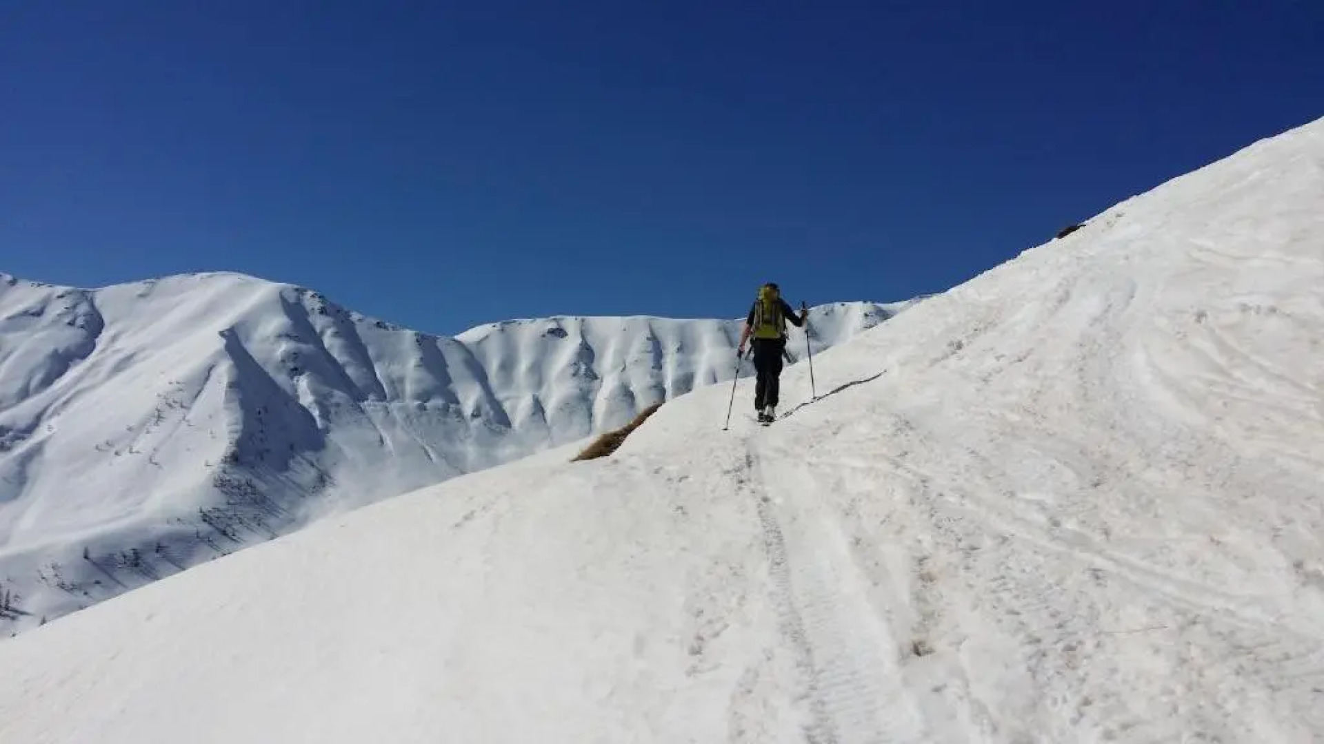 Ferienwohnungen am Berg - Giatla Haus