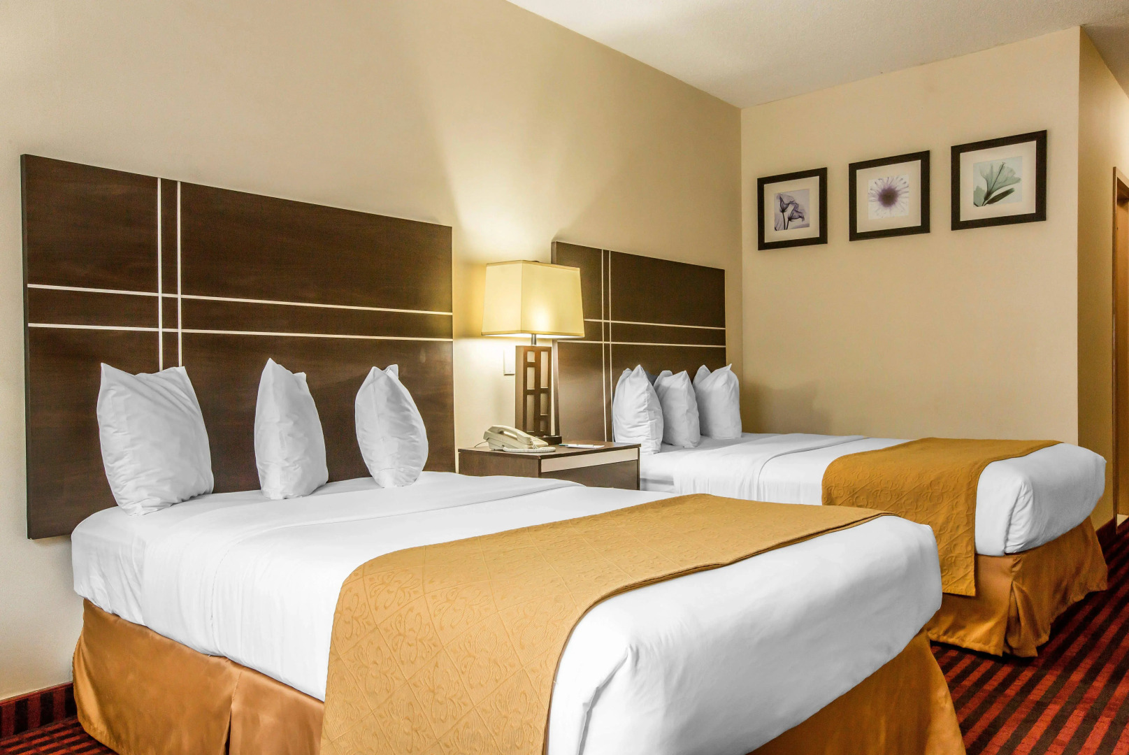 Quality Inn Schenectady - Albany