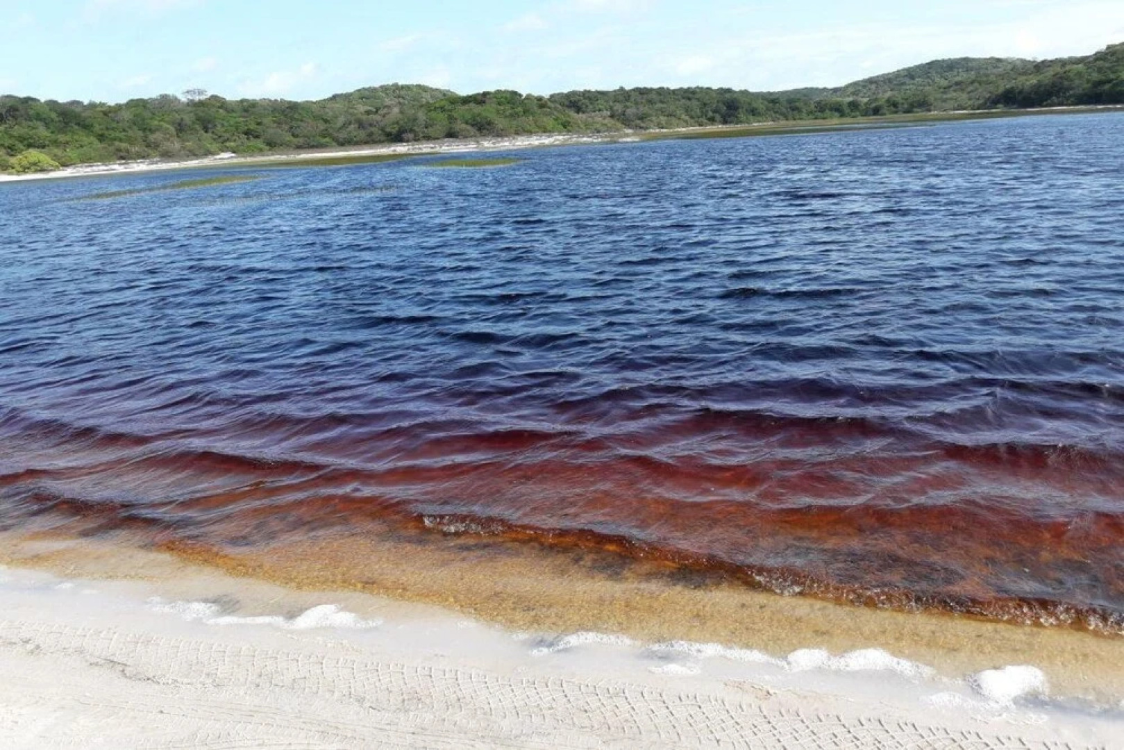 Pousada Flor Do Caribe