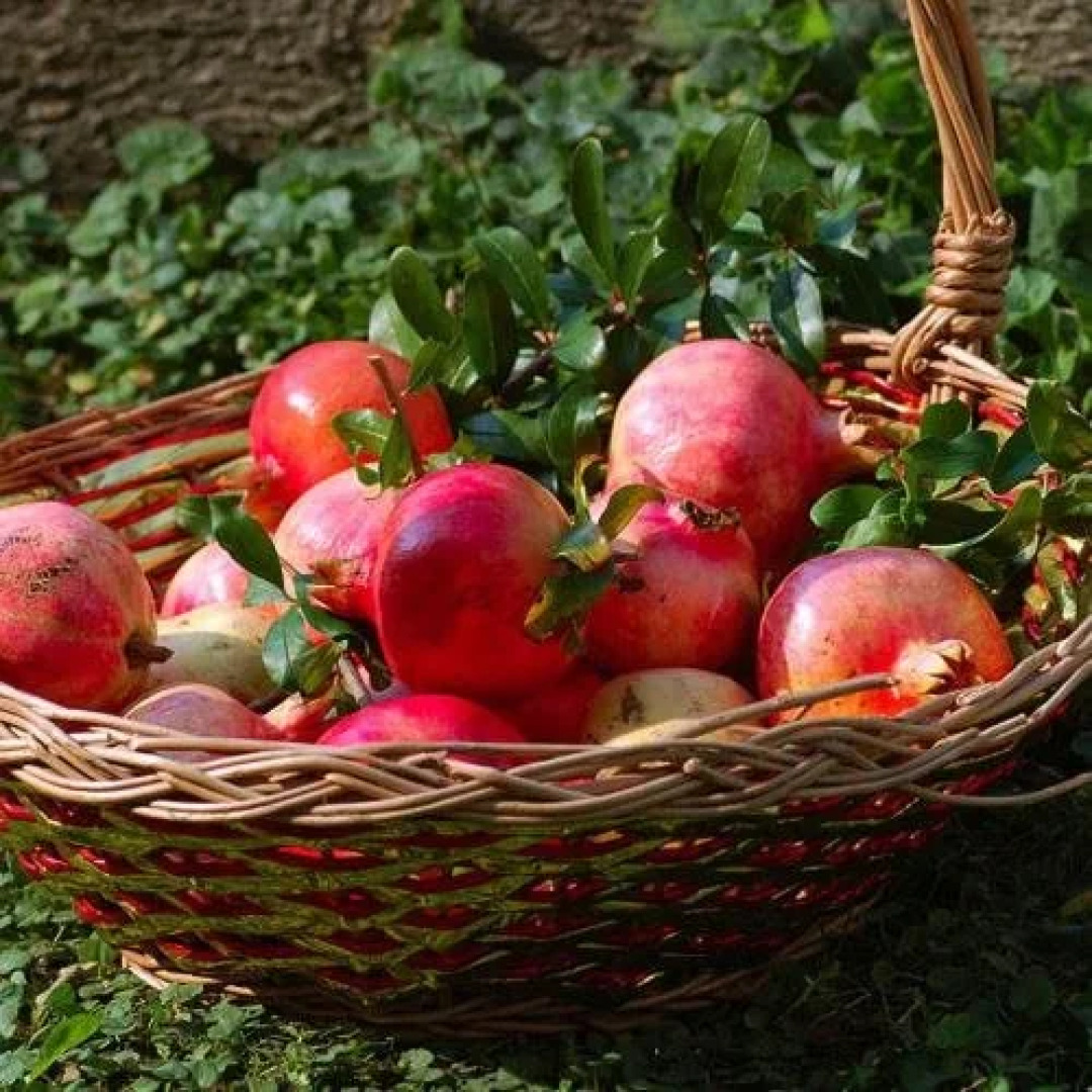 B&B Villa Maria Agrigento