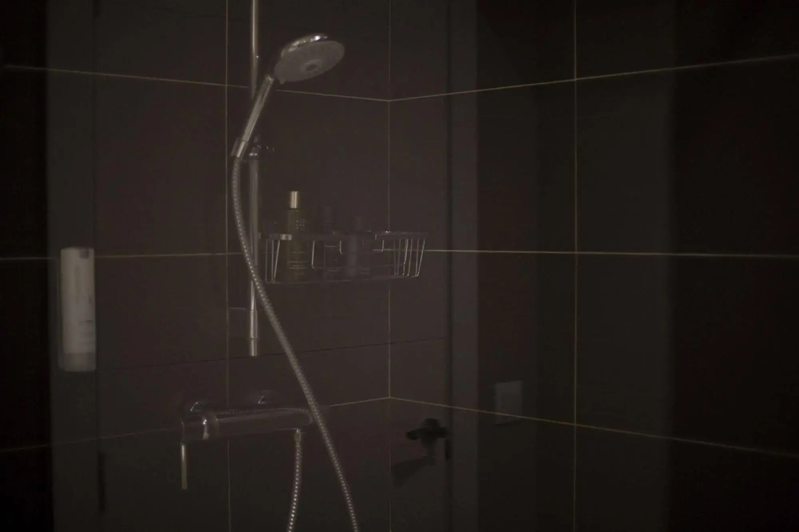 Las Gaviotas Suites Hotel