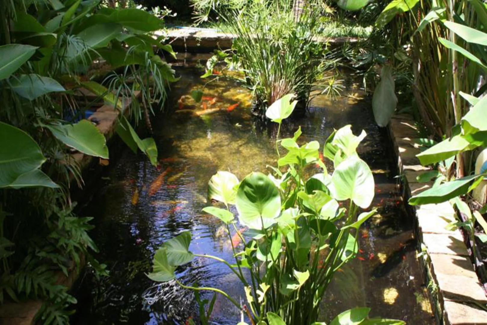 Caza V1 Serviced Apartment