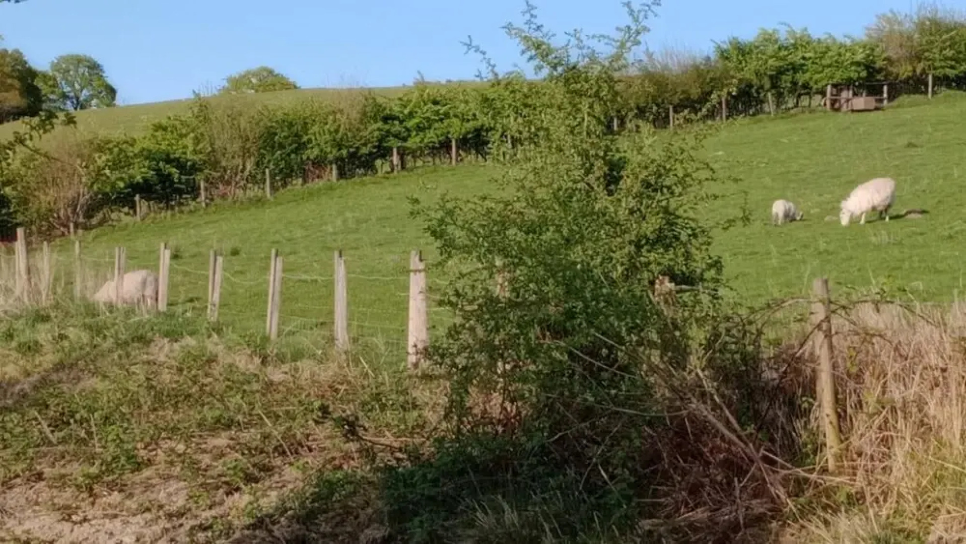 Llandovery - Cabin - Sleeps 2 - Parking - Garden