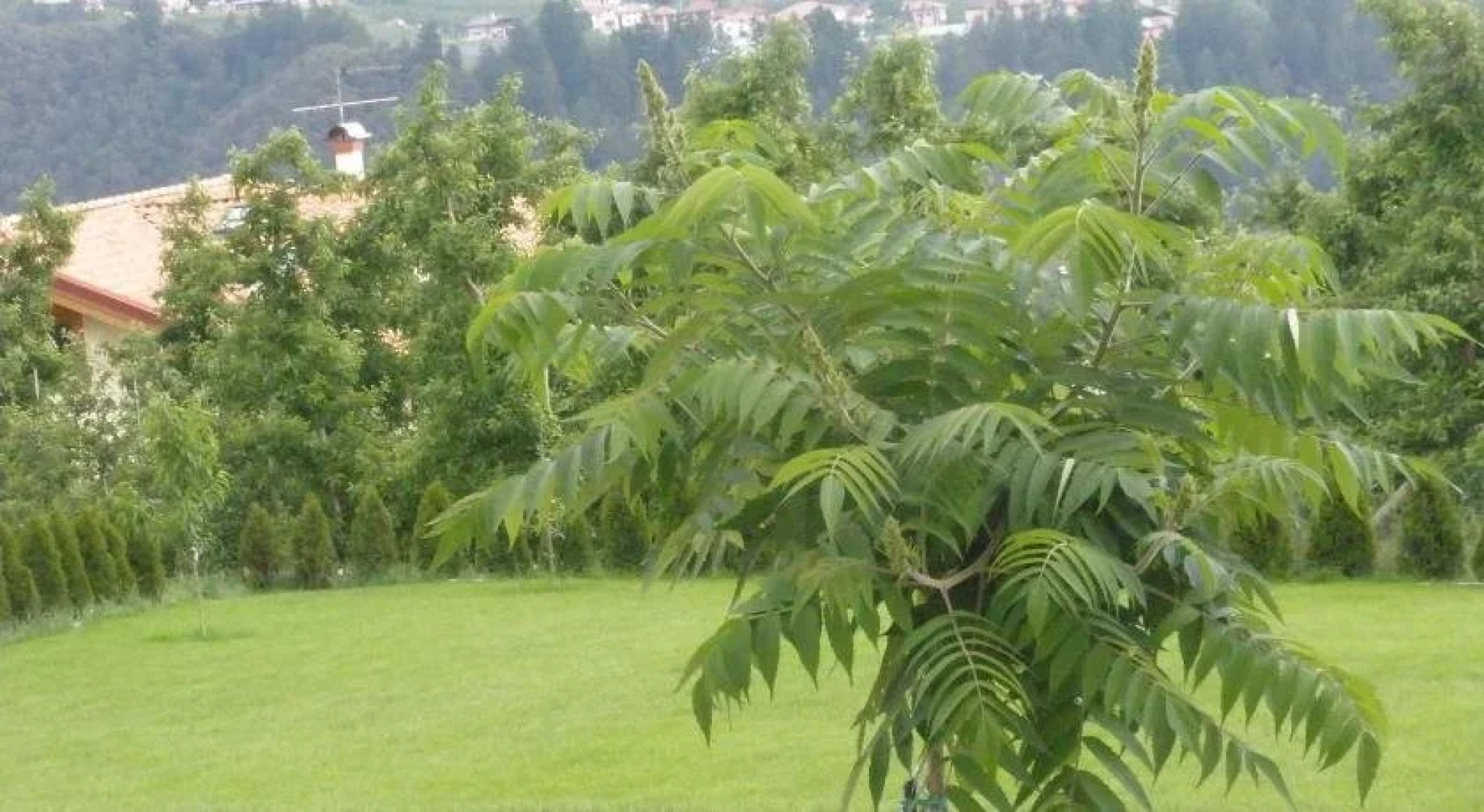 Agriturismo La Corte Nonesa