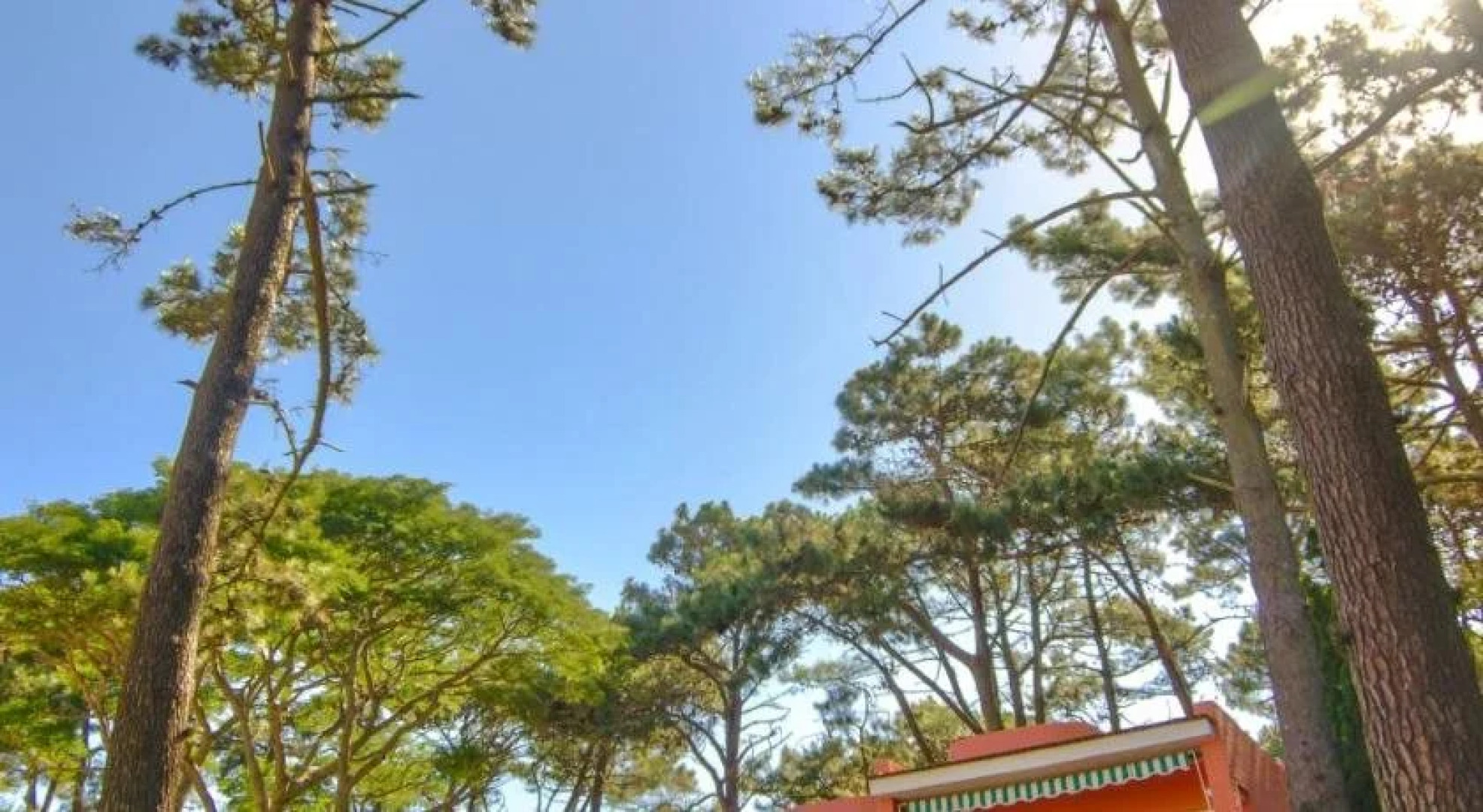 Apartment Sierra Alta