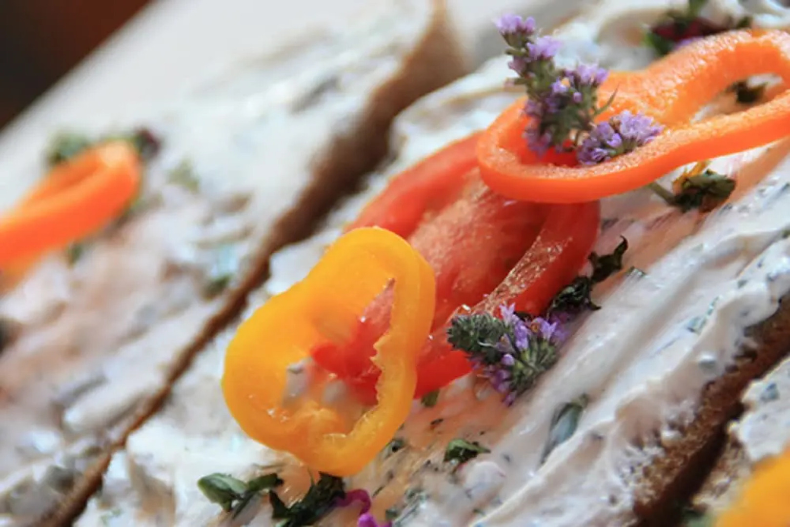 Gläserner Bauernhof