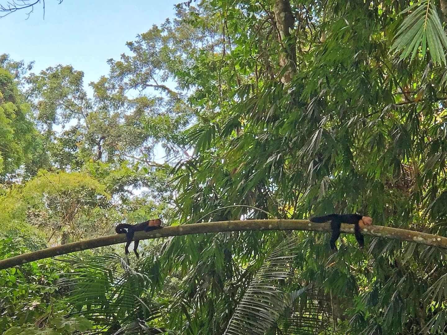 Hostel Cascada Verde