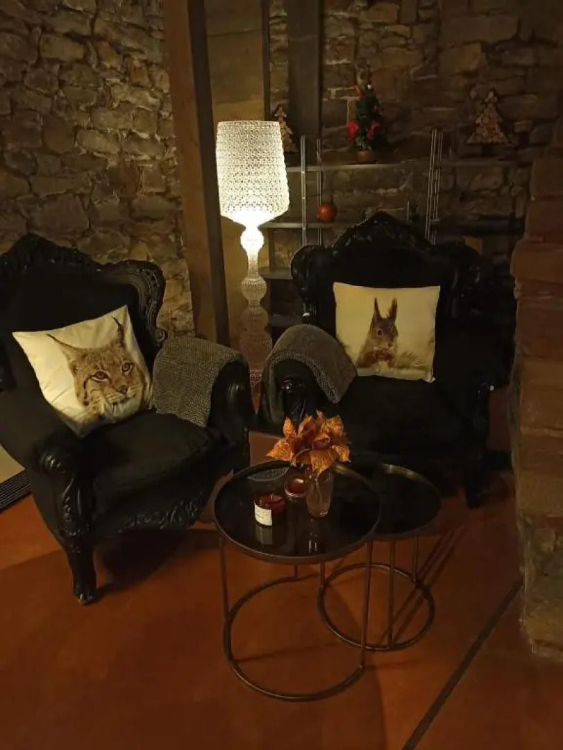 Caveau Contemporain Kv'o37 (Adults Only)