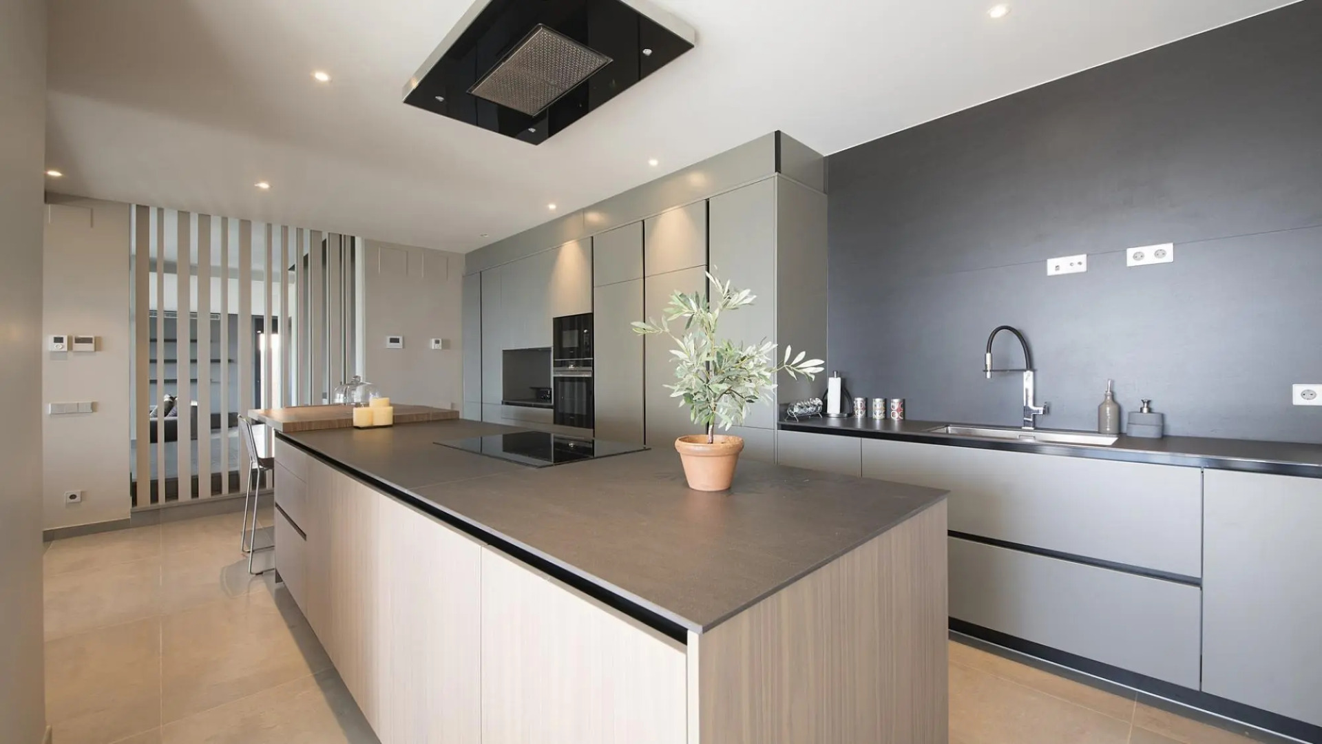 TH85-Limonium-9 in Tarragona