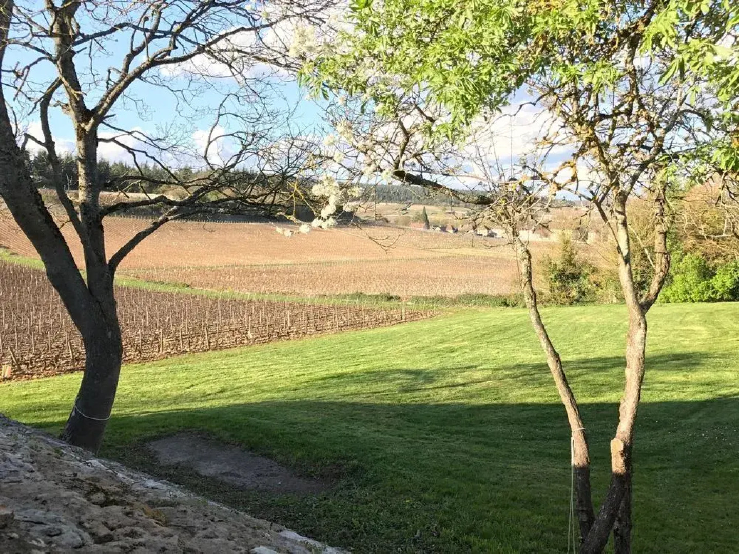 Les Maisons de Chamirey