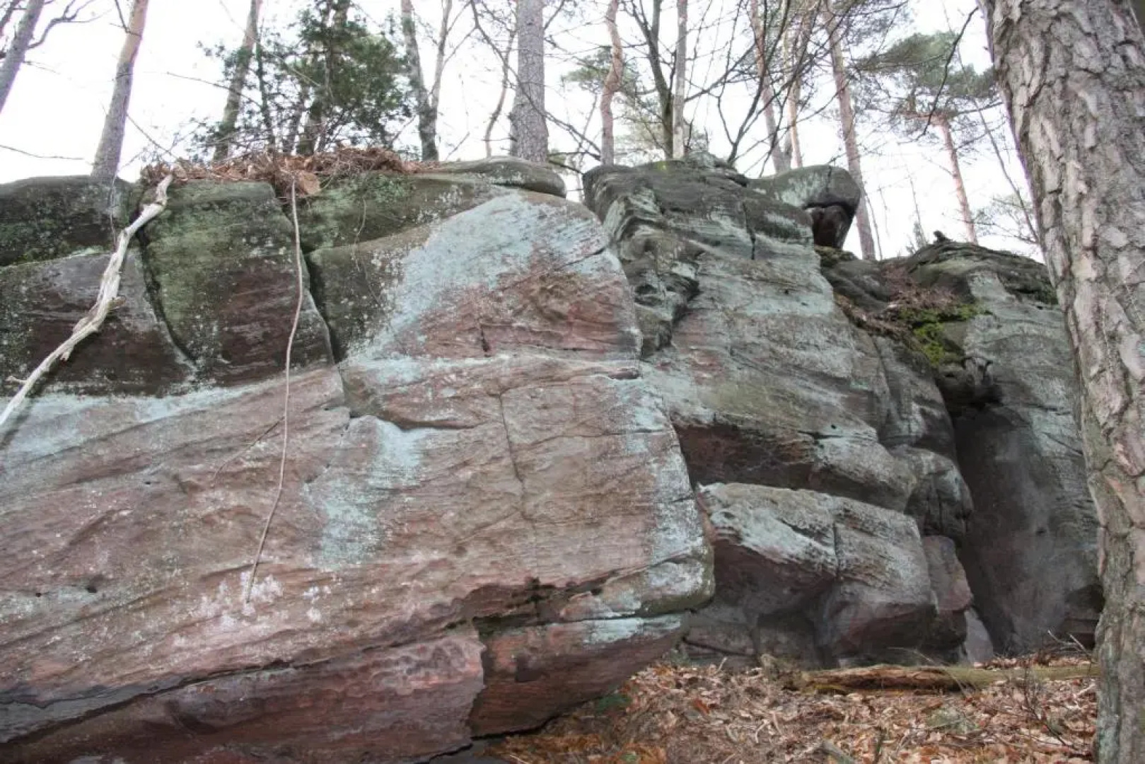 Landhotel Zum Storchennest