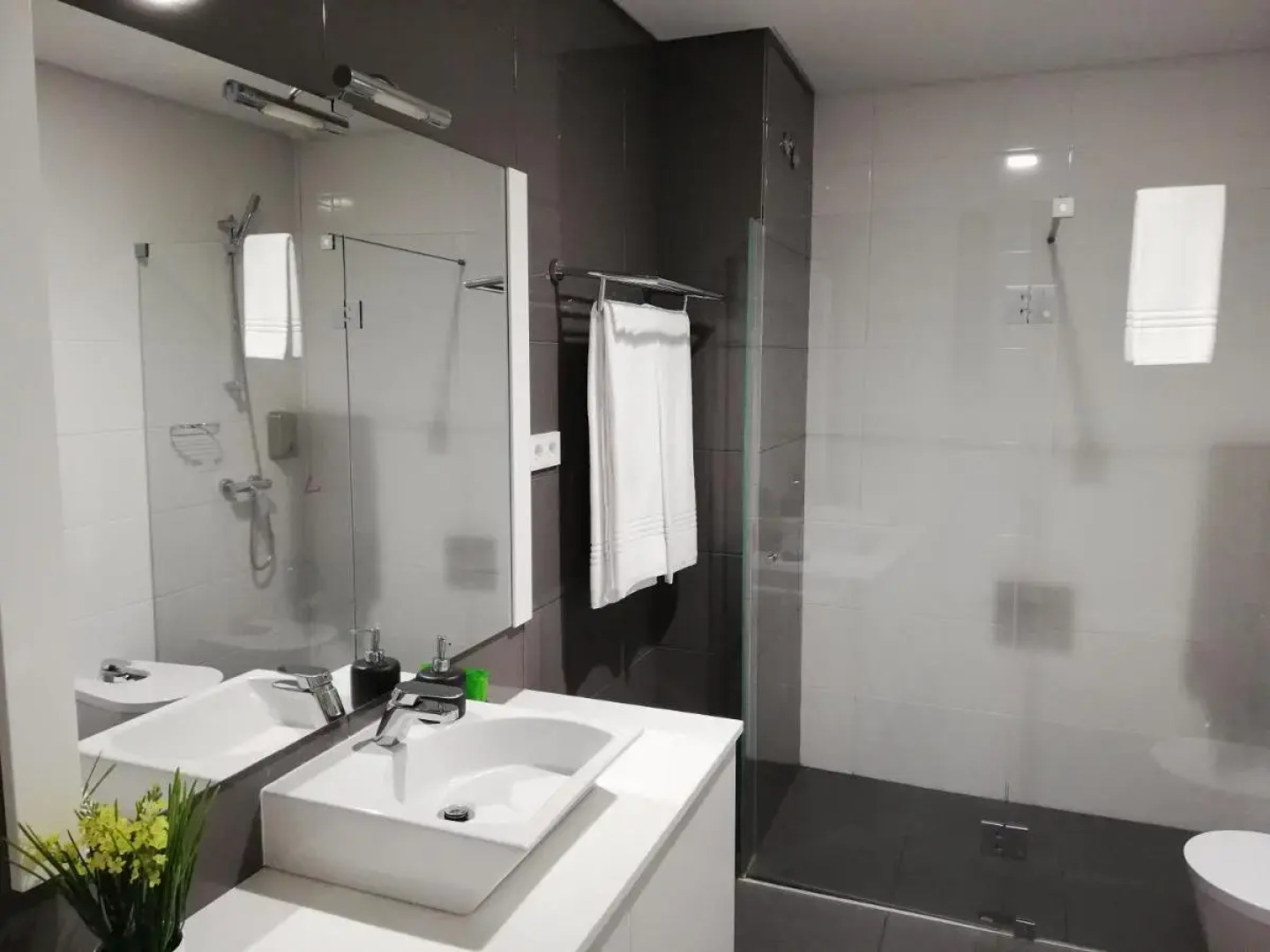 Whalesbay Hotel Apartamentos