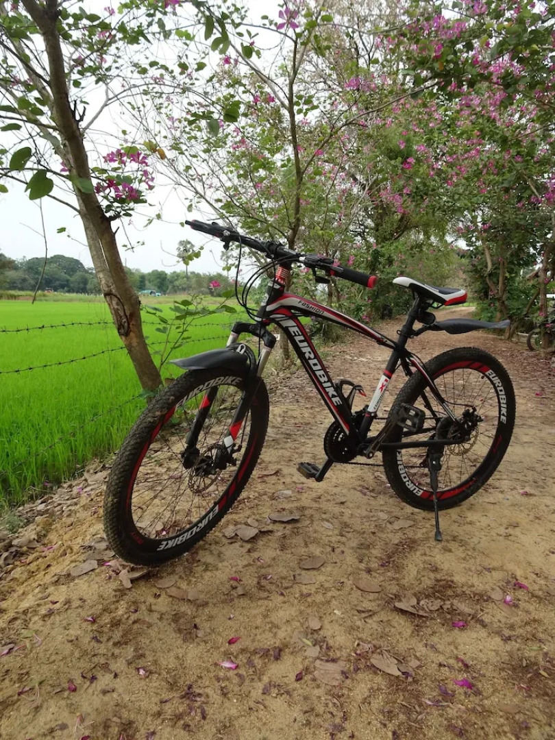 Happy Hamlets Resort