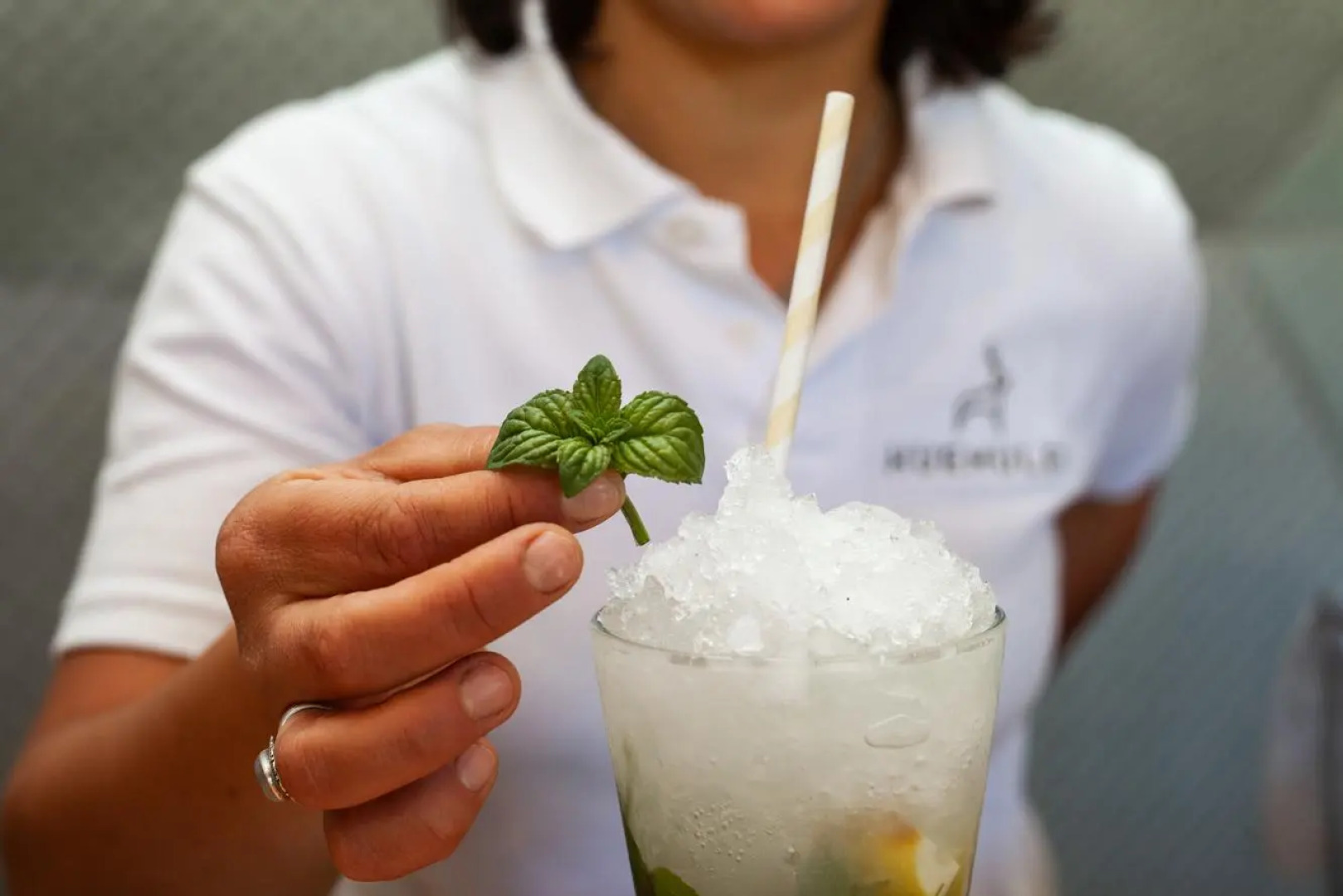 Huemules Reserva de Montana