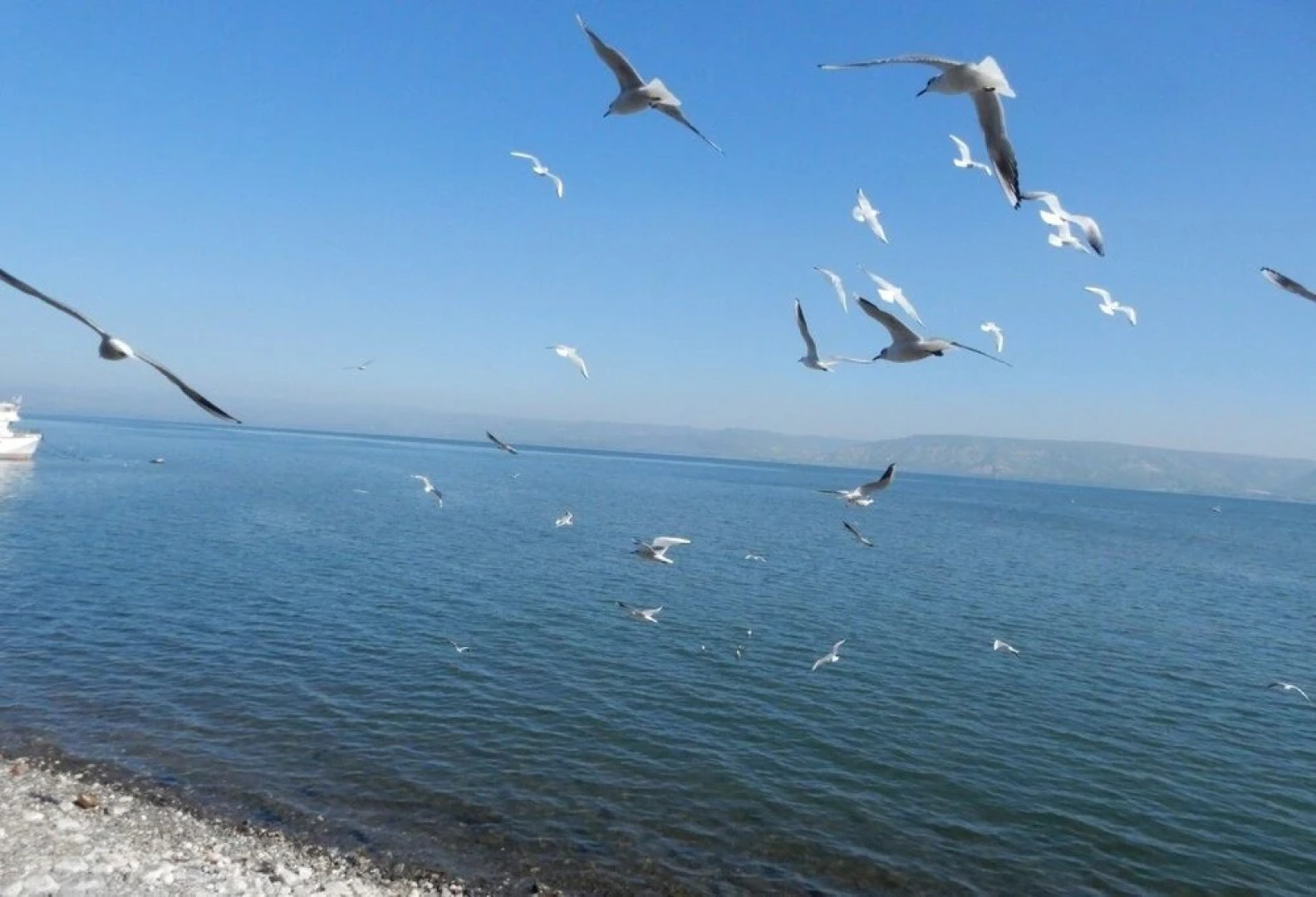 Aviv Hostel - Hostel