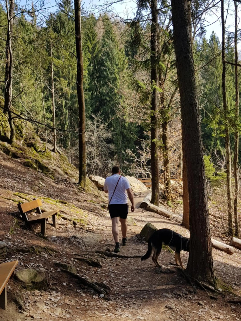 Prünsterhof Schenna