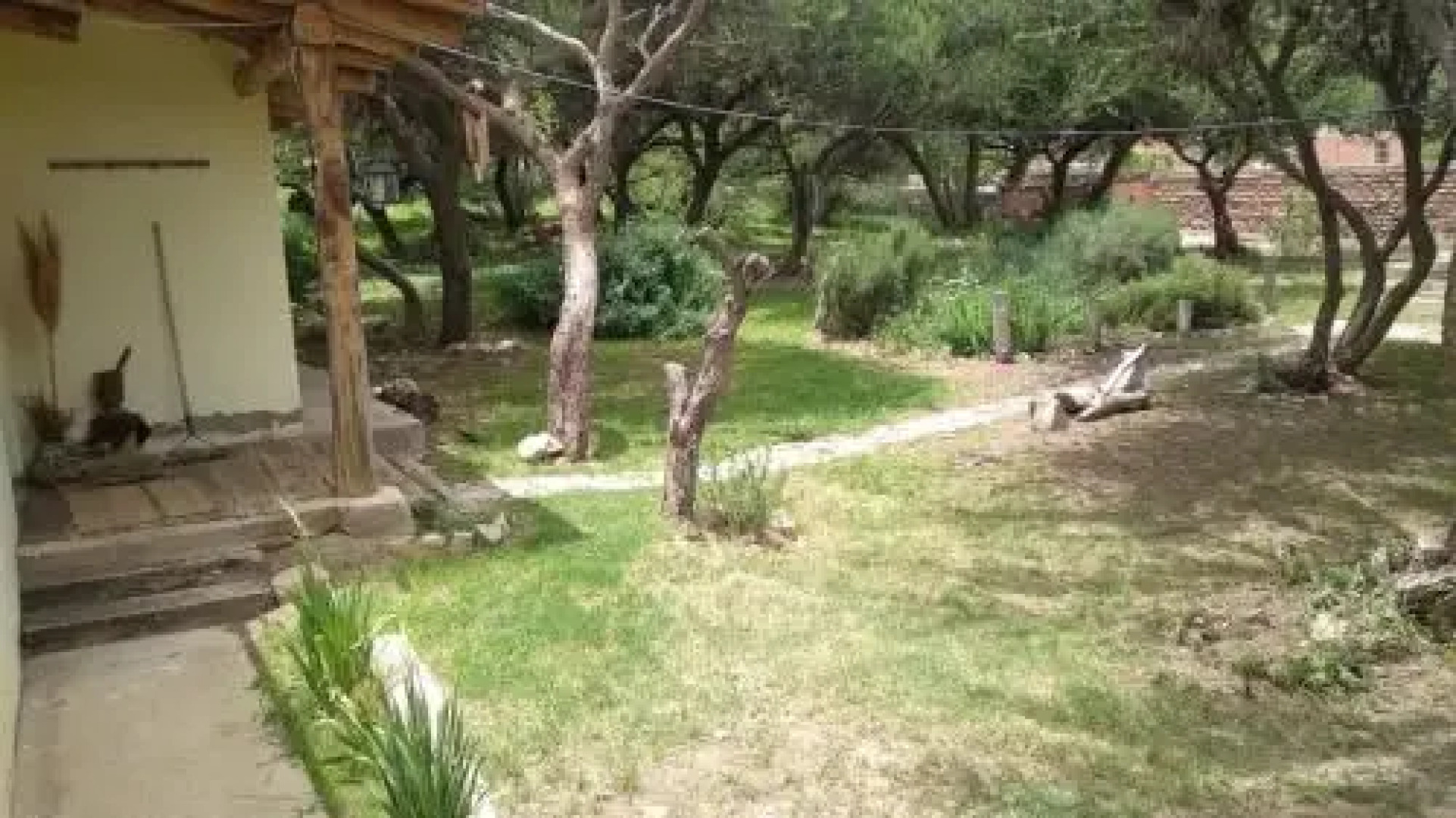 La Haciendita Hostel