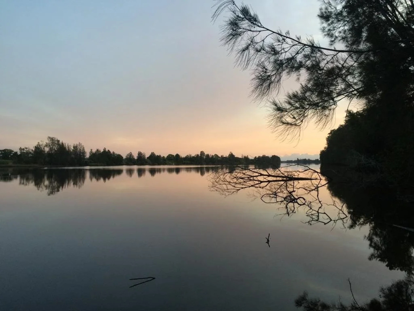 Mansfield on the Manning