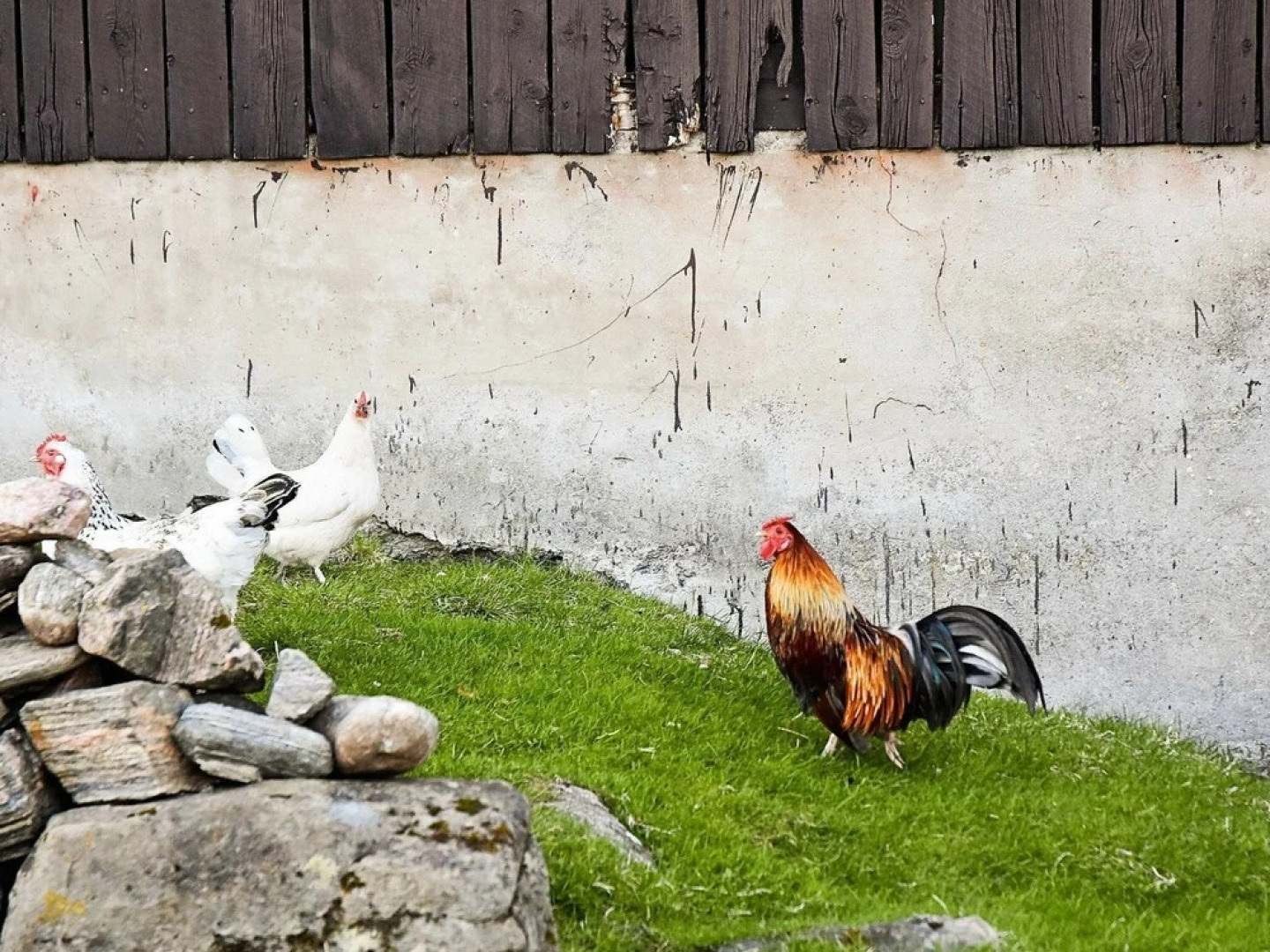 8 Person Holiday Home in Hustad