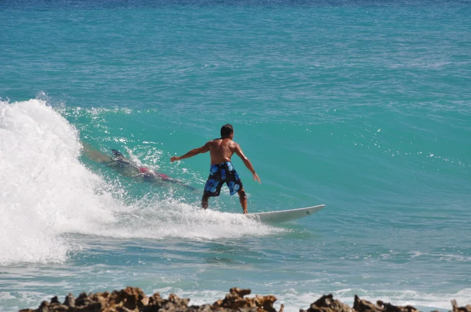 Tropical Gecko Studio