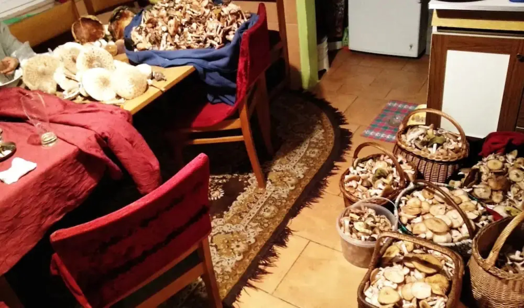 Mazurski Raj - Luksusowa Turystyka