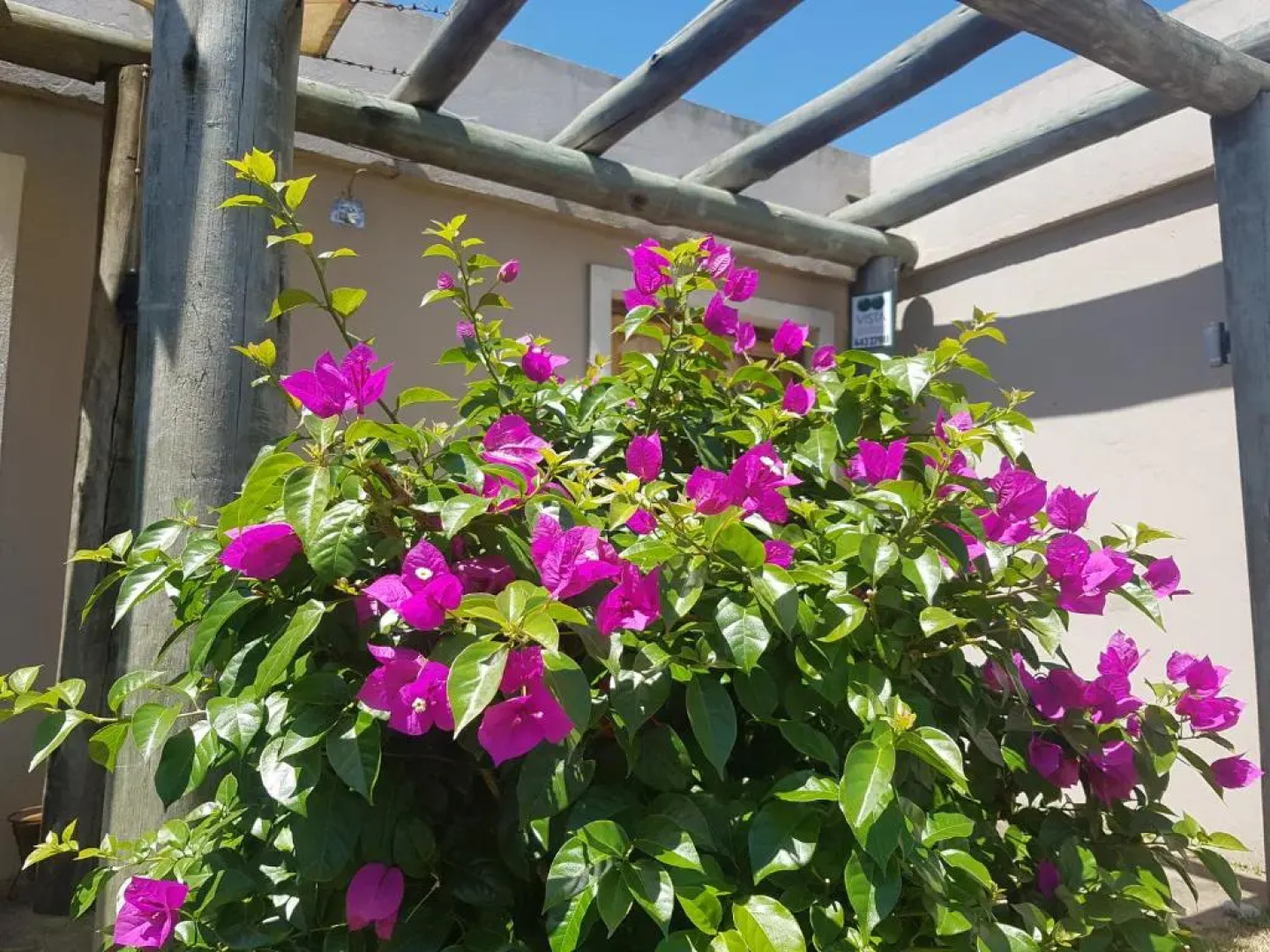 La Rodriguera Punta Colorada 092199199