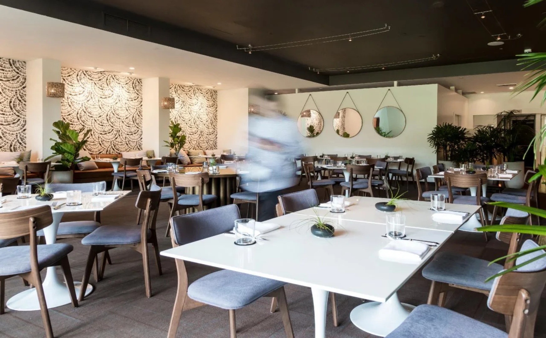 Lotus Honolulu at Diamond Head