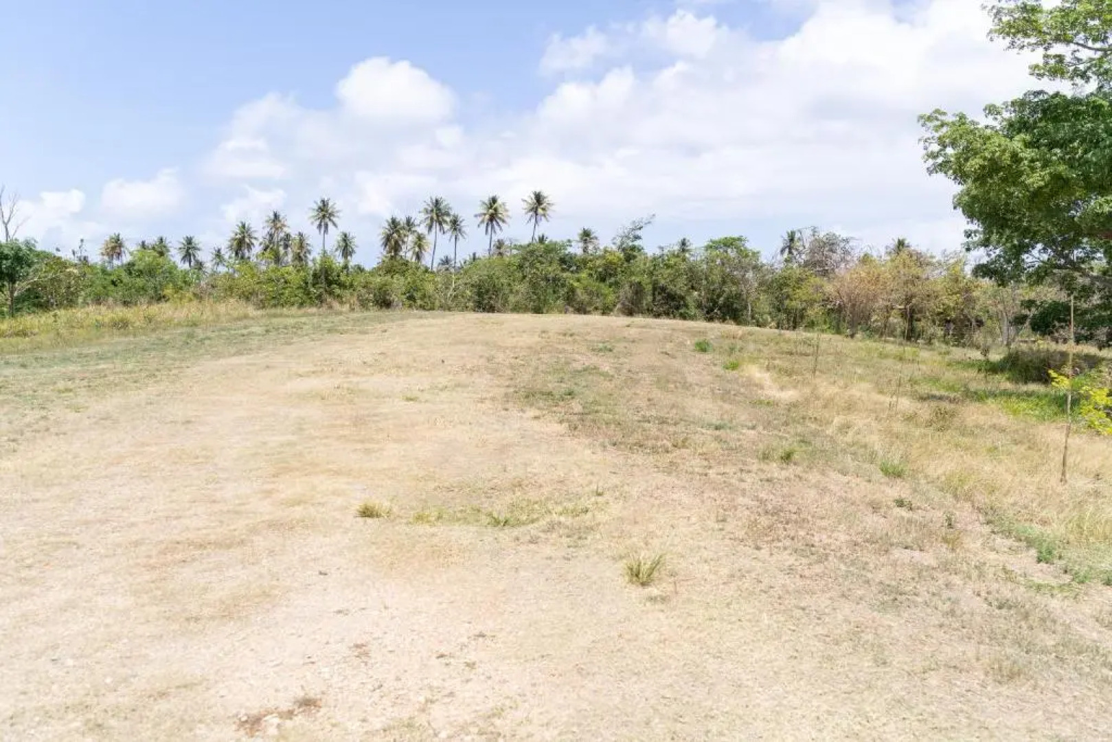 Apartment in Villas Del Faro Resort
