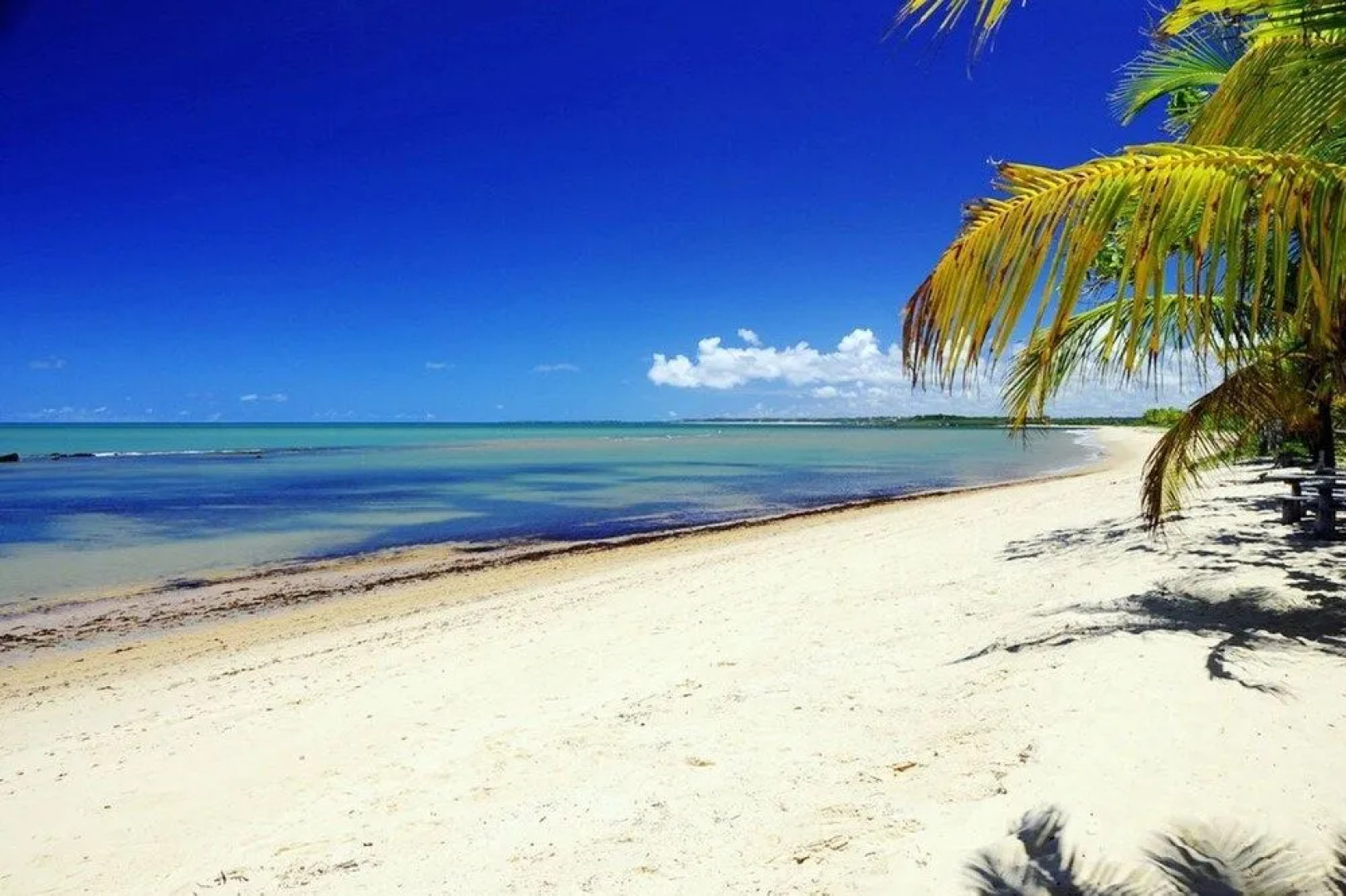 Fazenda Amendoeira Eco Lodge