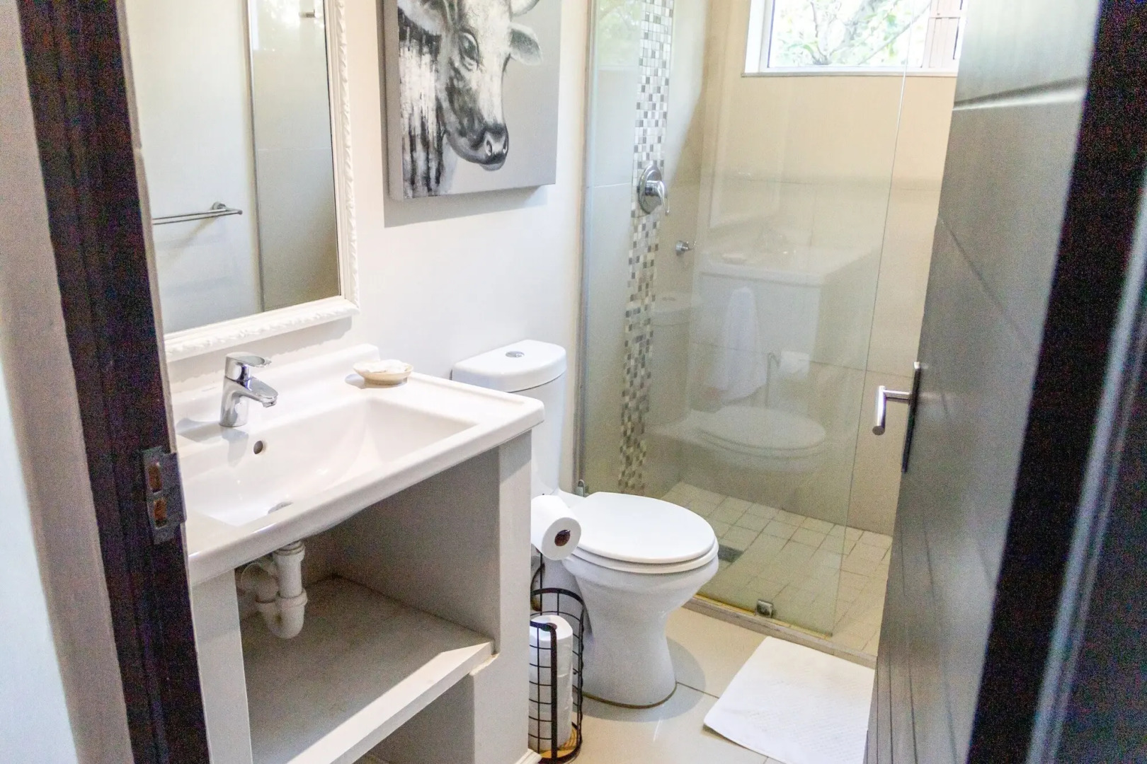 The Seagull Hermanus