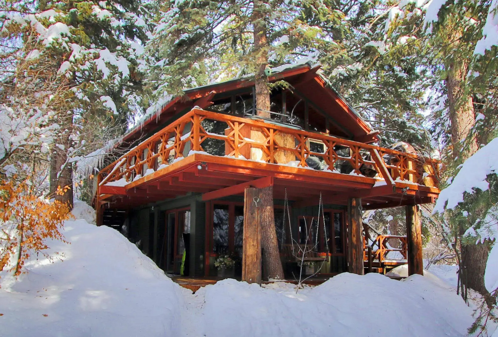 Treehouse by the Stream