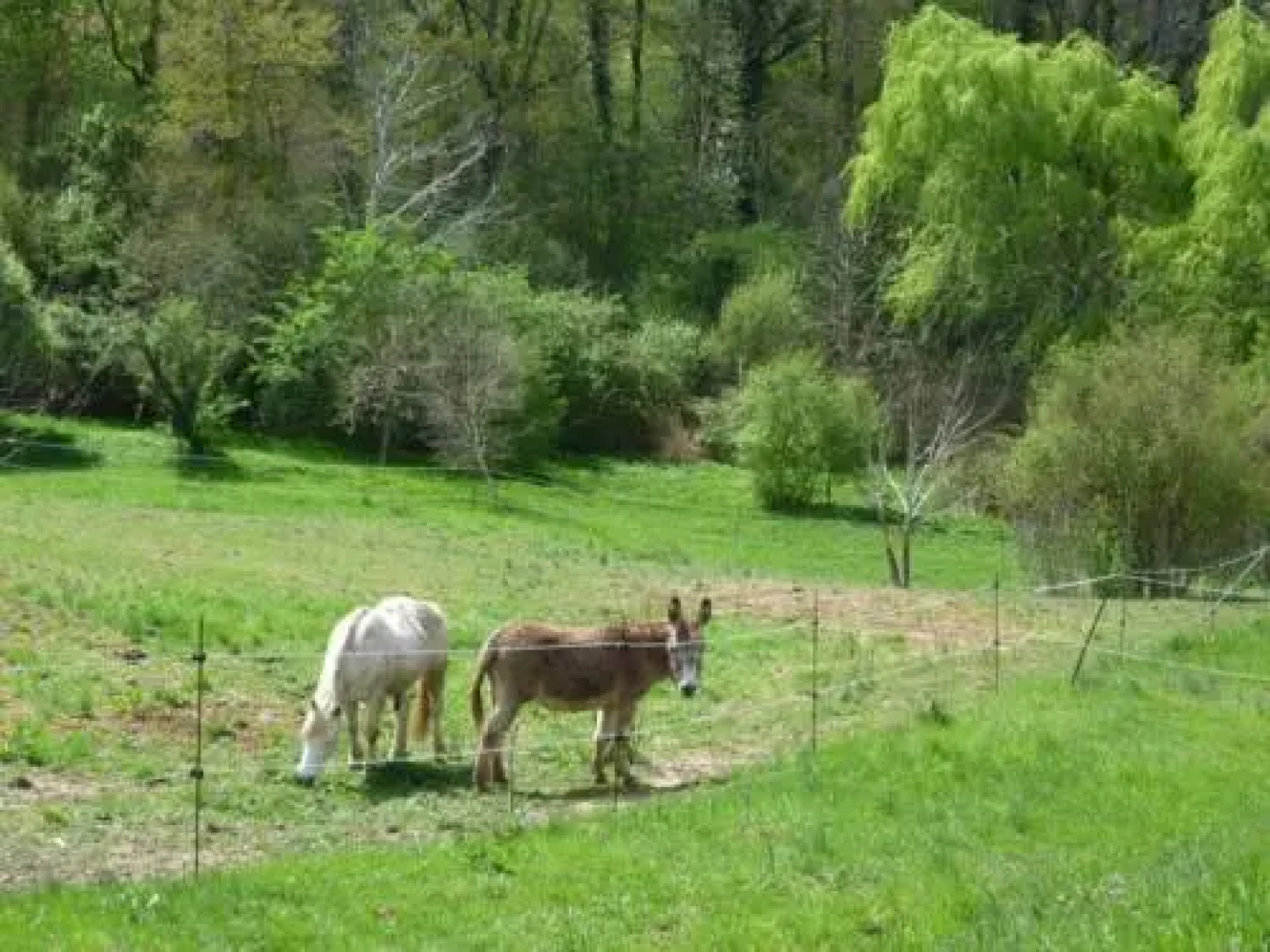 Chambre dHôtes les Buis