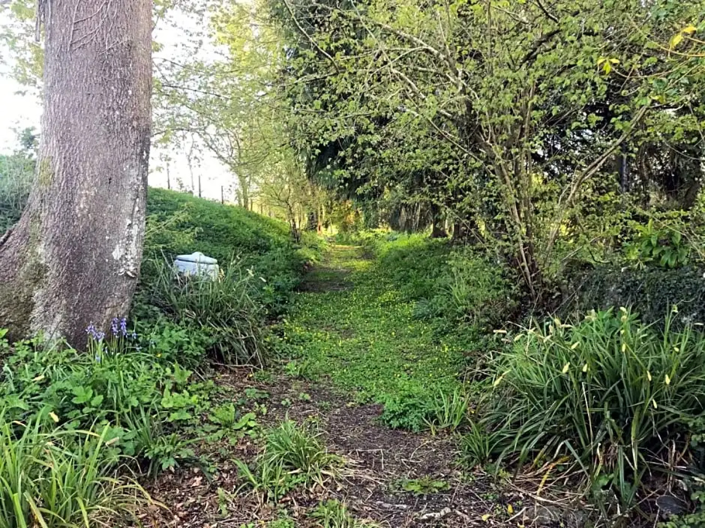 Old Mill House Bed and Breakfast, guest house