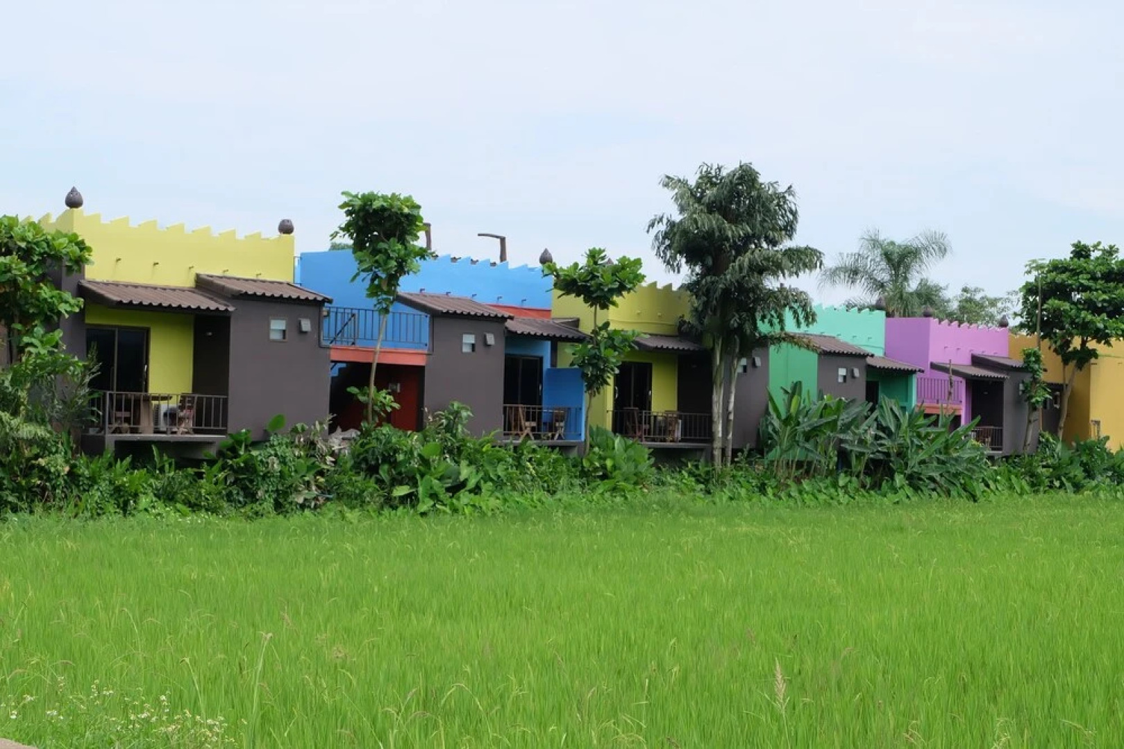 Rabiang-Dao Resort Chiang Rai