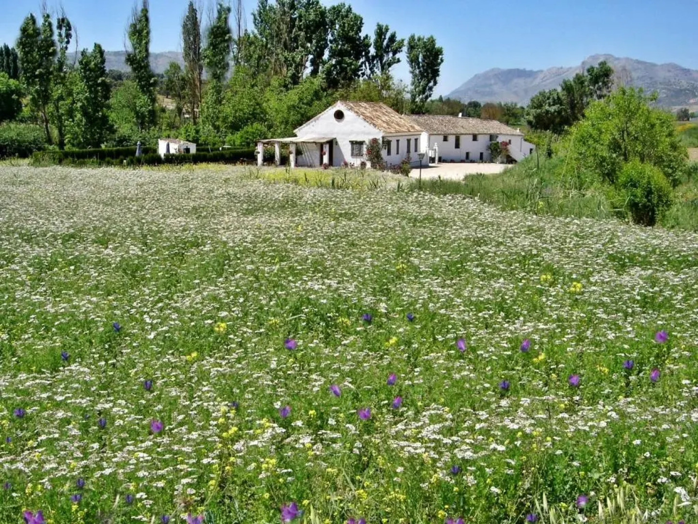 Holiday Home Finca Retama
