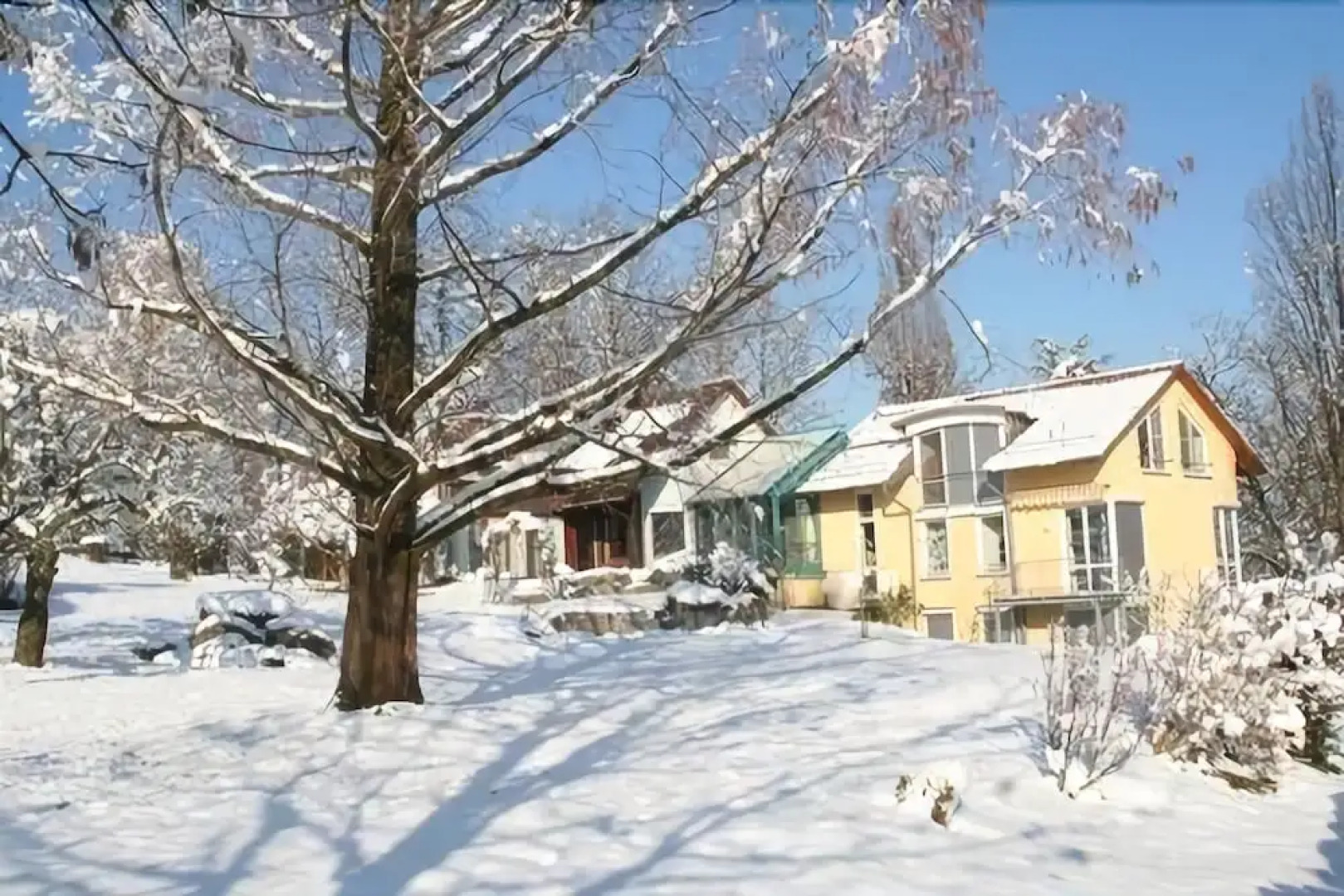 Zauberhafte Ferienwohnung am Schönberg