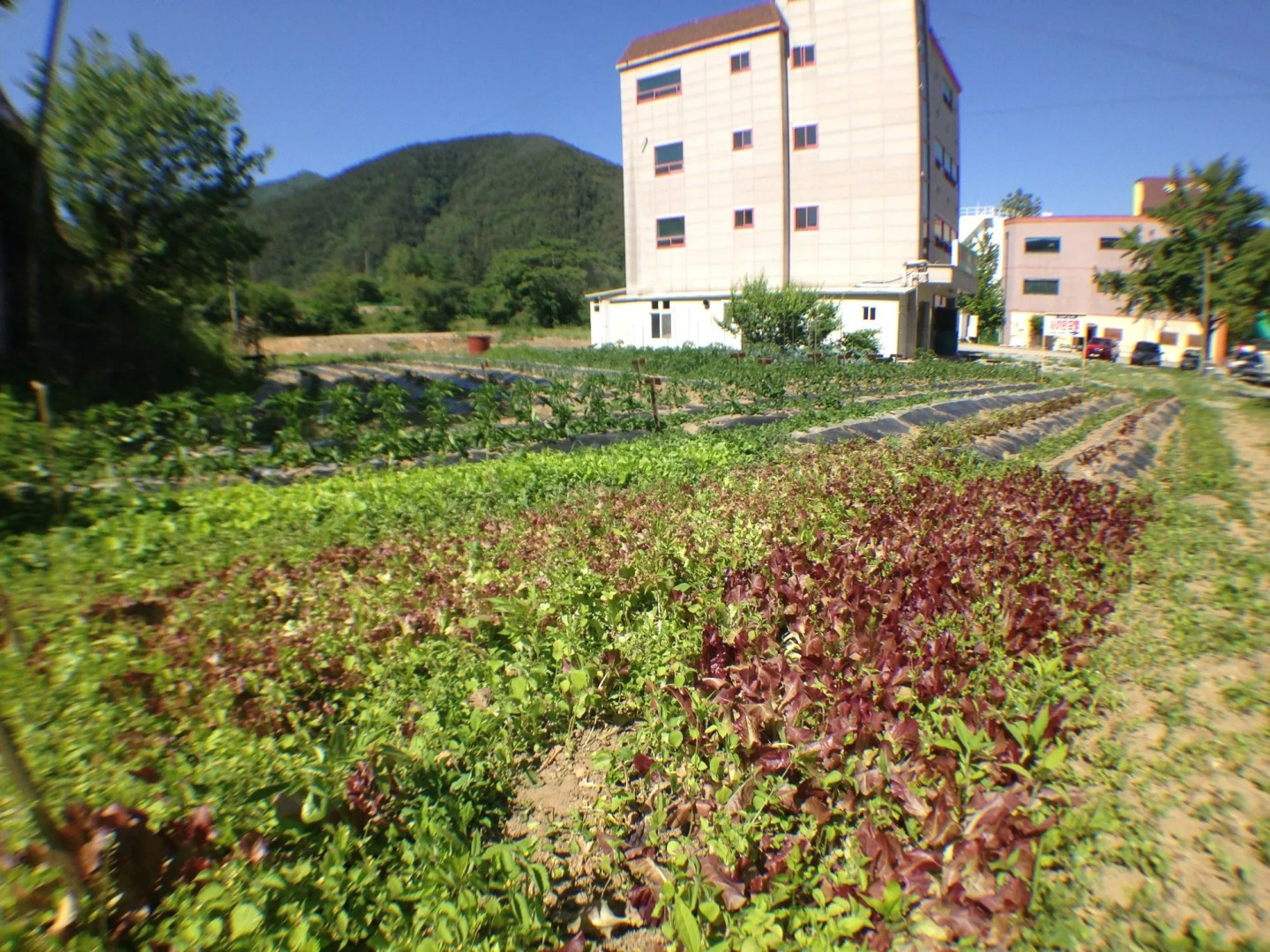 Suanbo Saipan Hot Spring Hotel